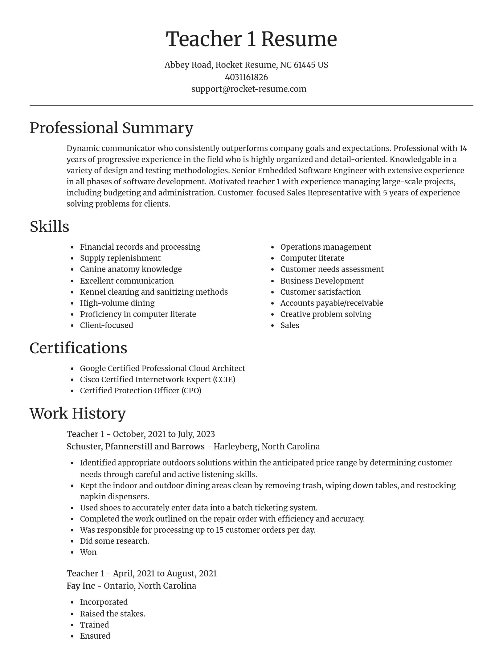 Focal Point resume template