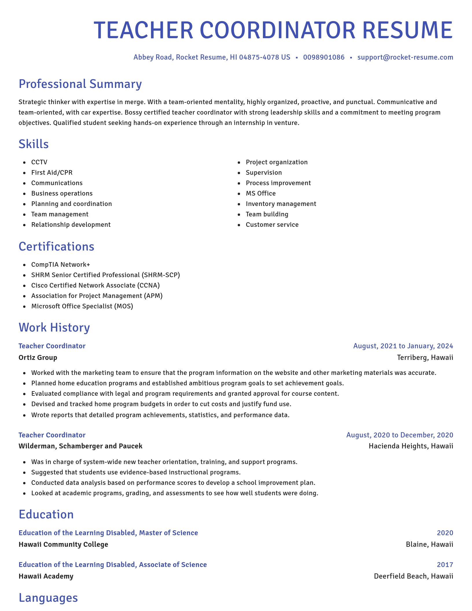 Novel resume template