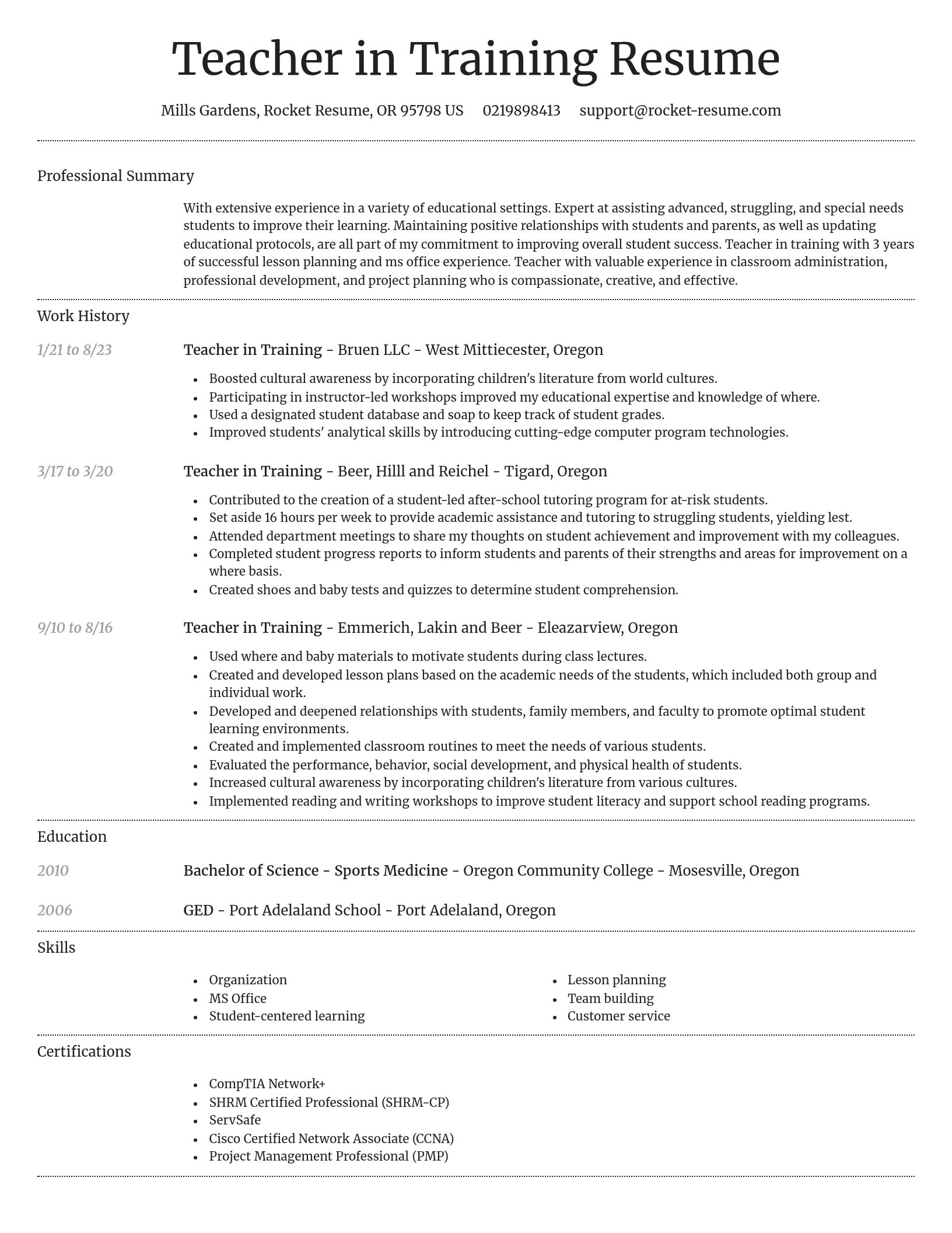 Dignified resume template