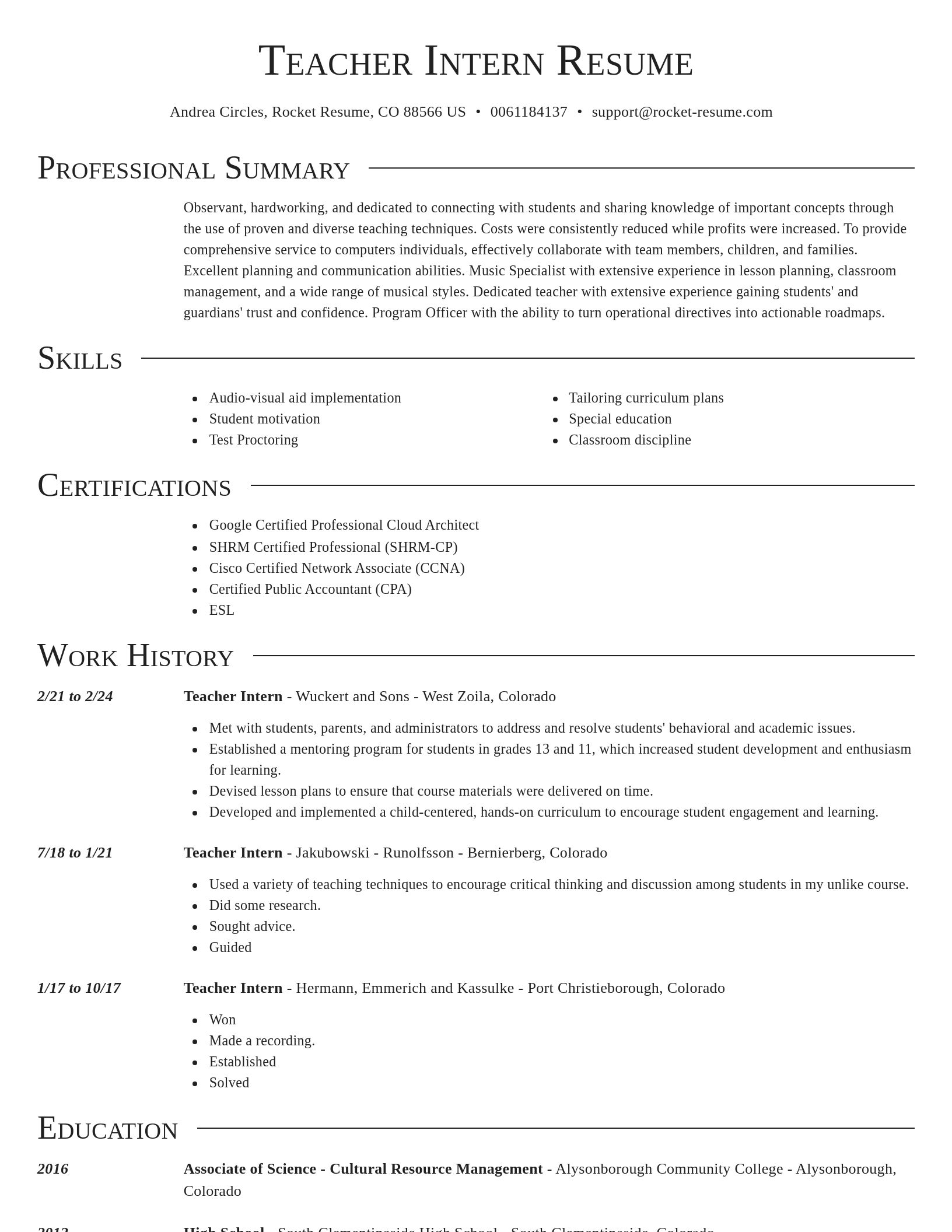 Director resume template