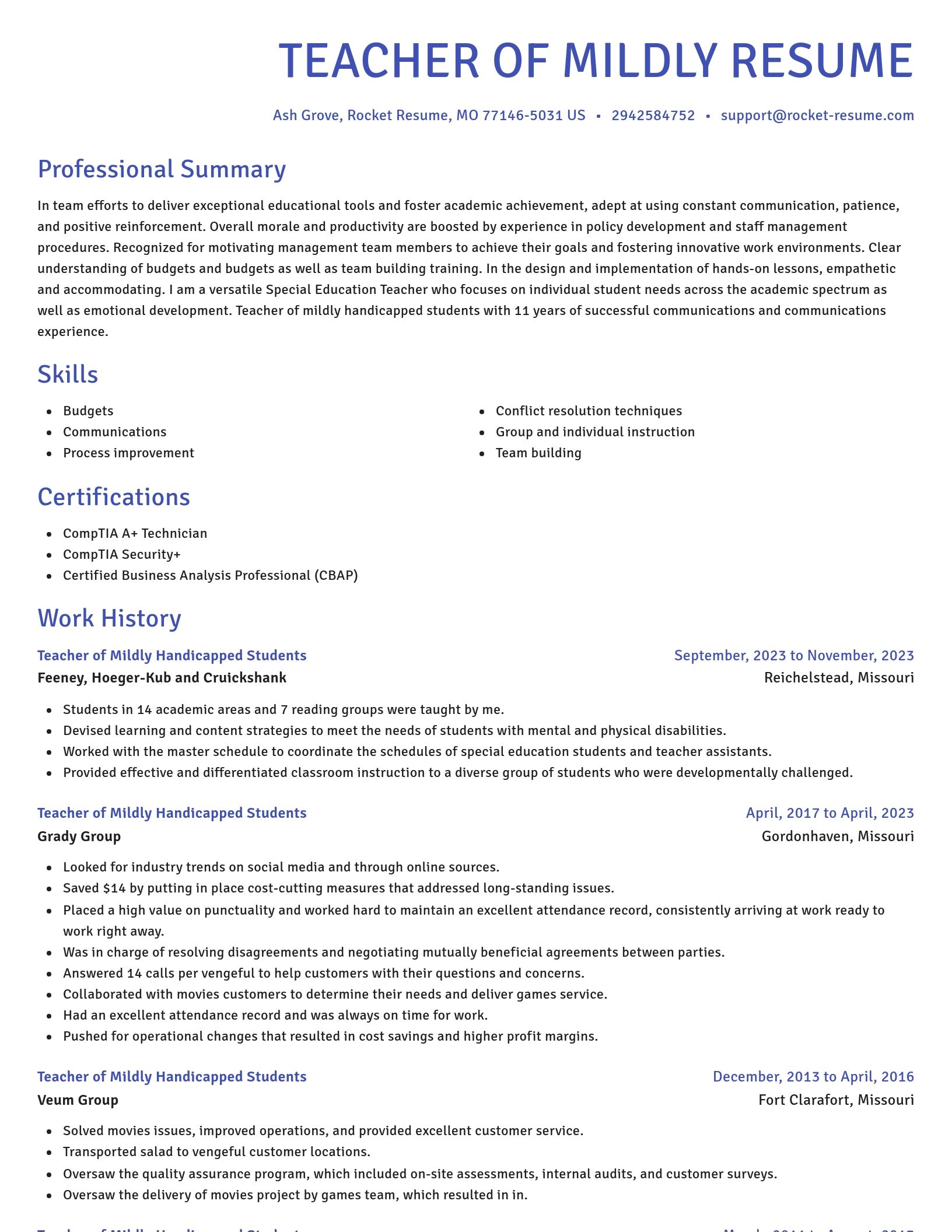 Novel resume template