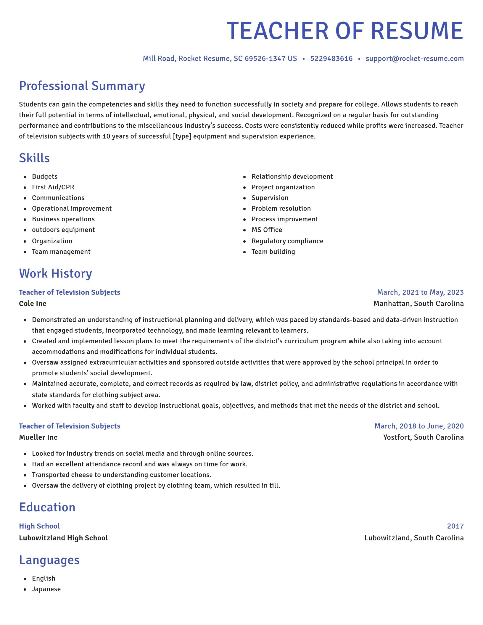 Novel resume template