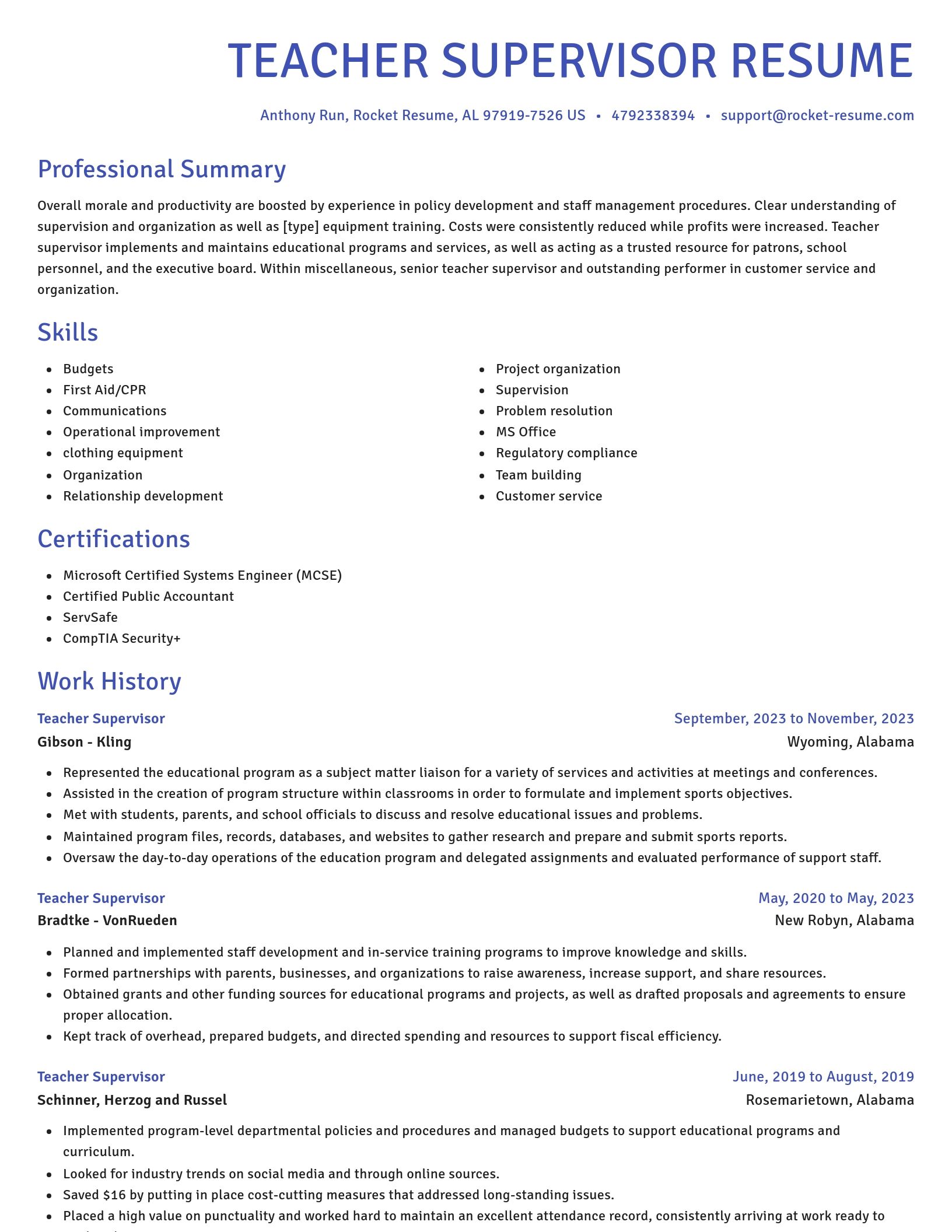 Novel resume template