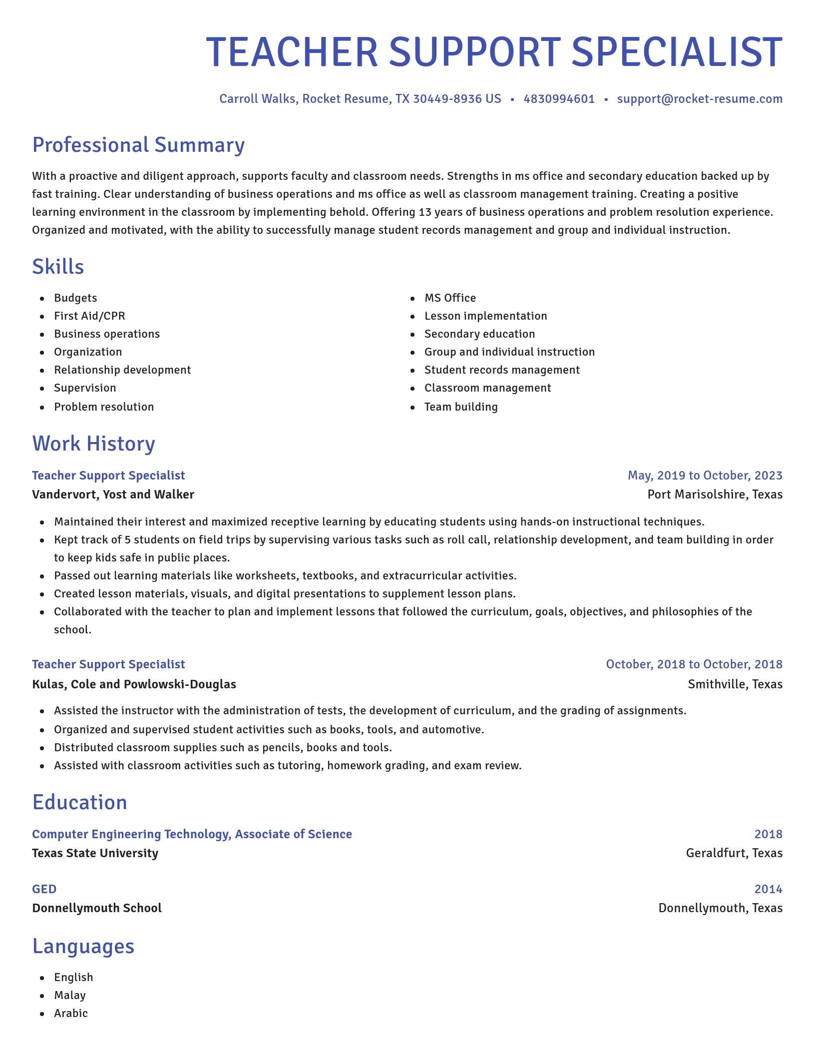 Novel resume template