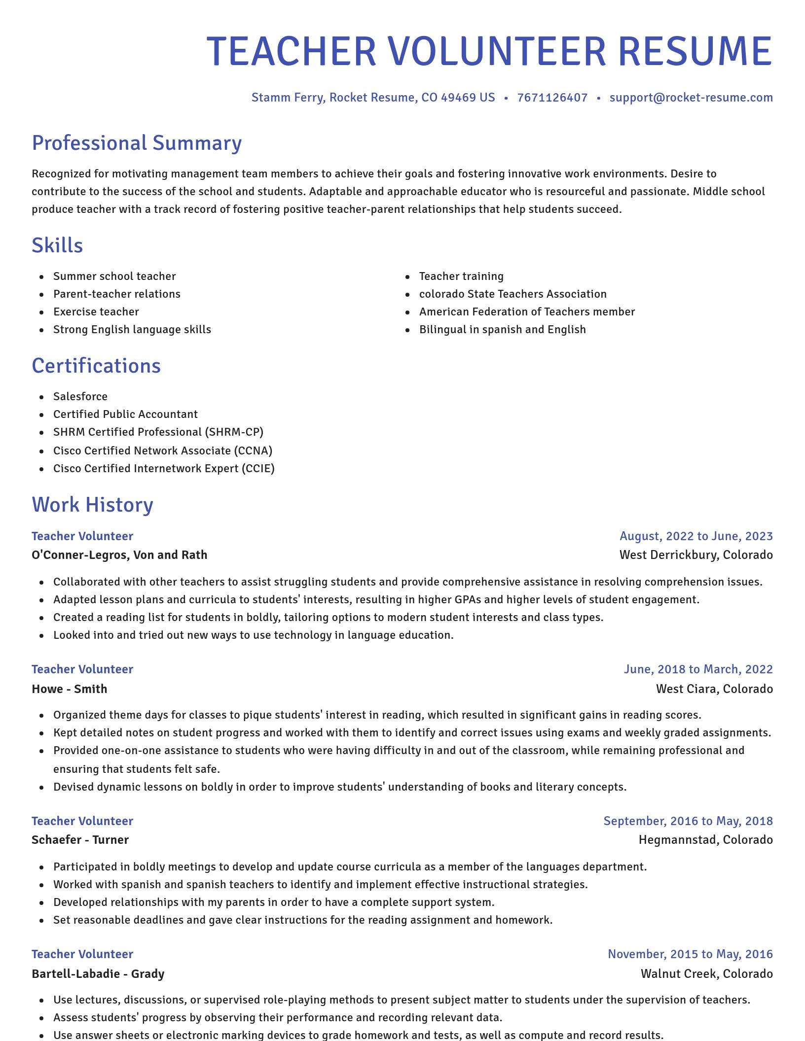 Novel resume template