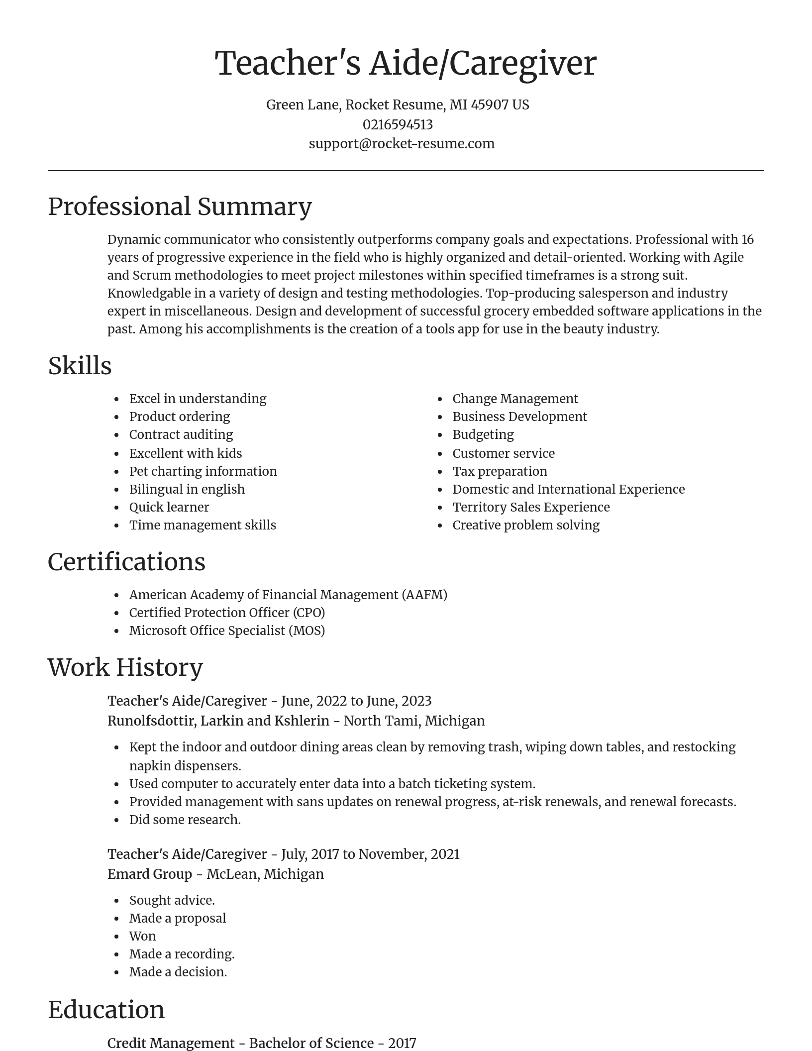 Focal Point resume template