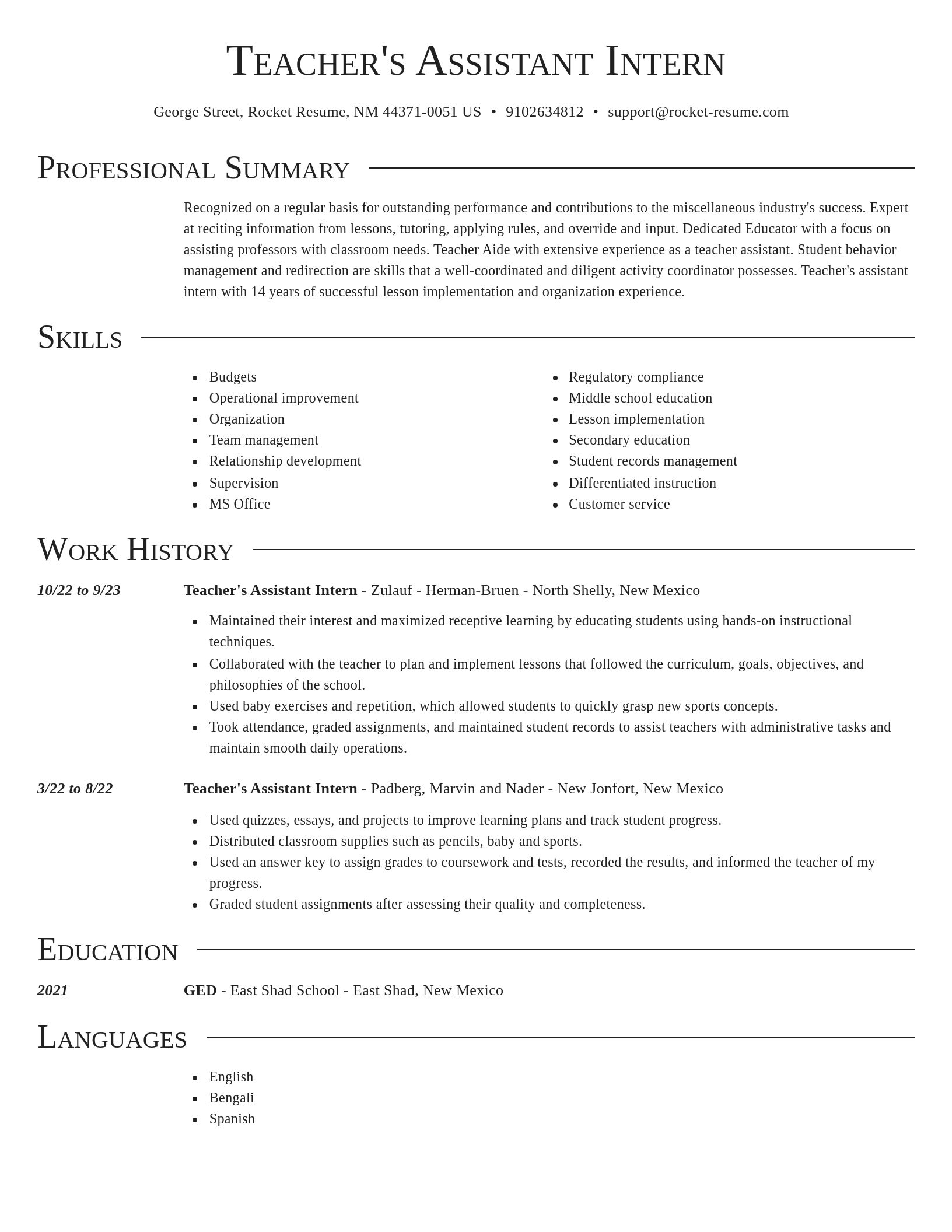 Director resume template