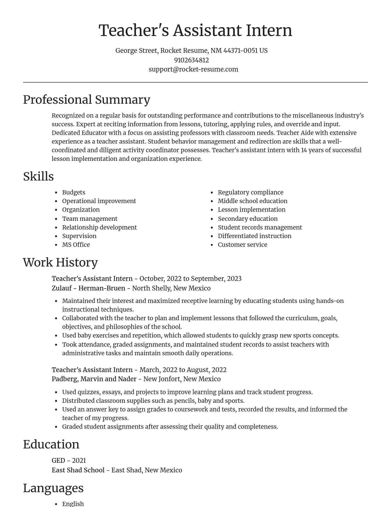 Focal Point resume template
