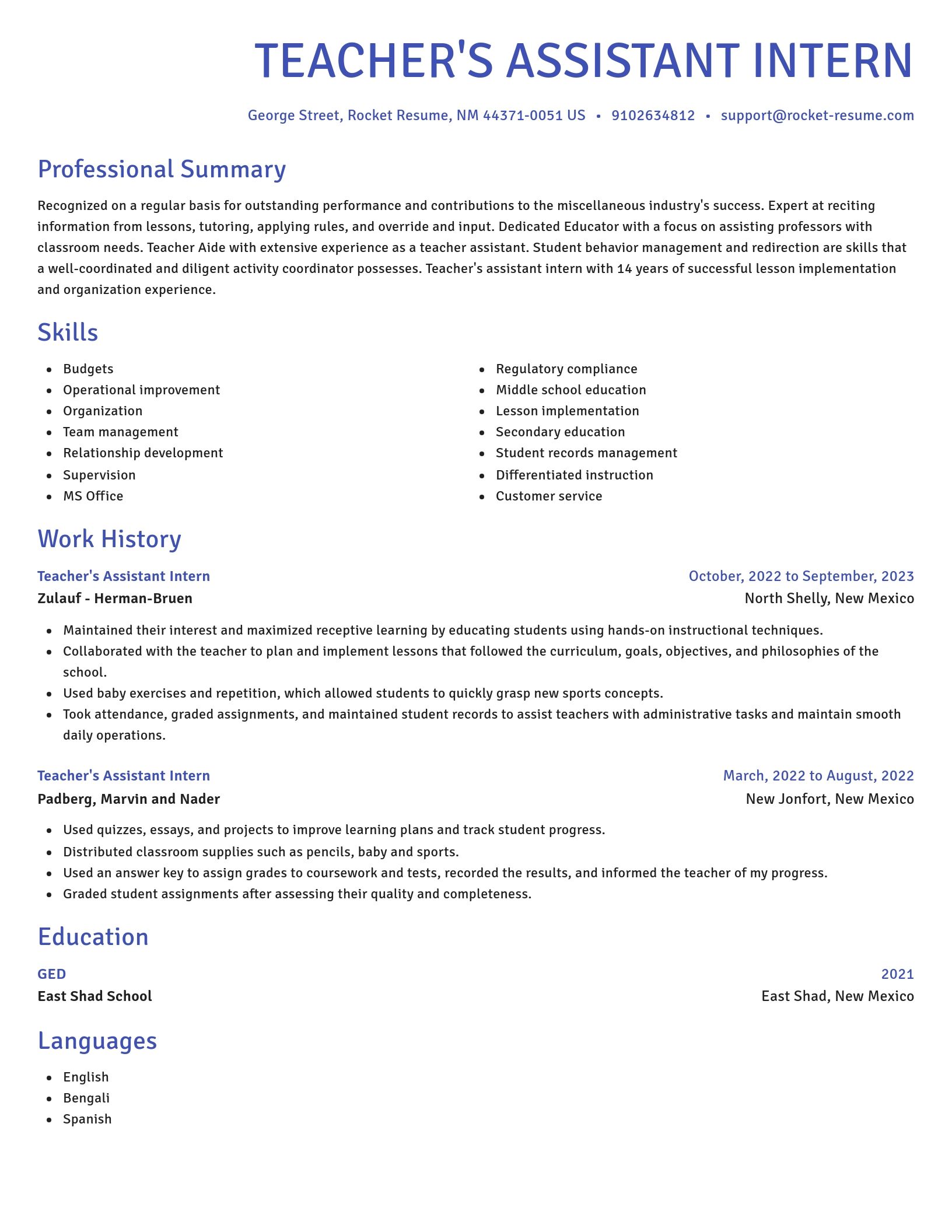 Novel resume template
