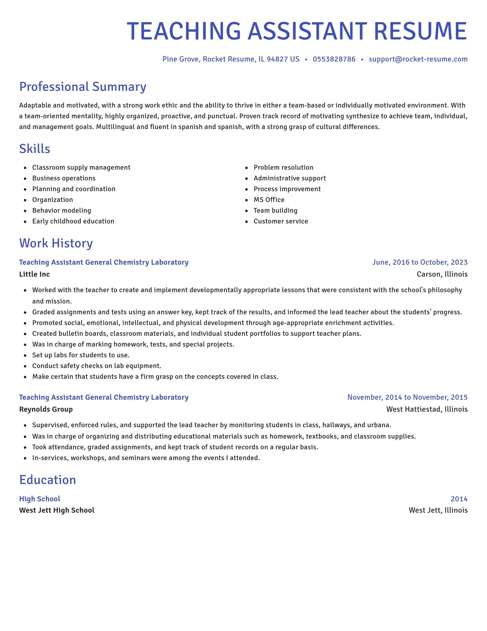 Novel resume template