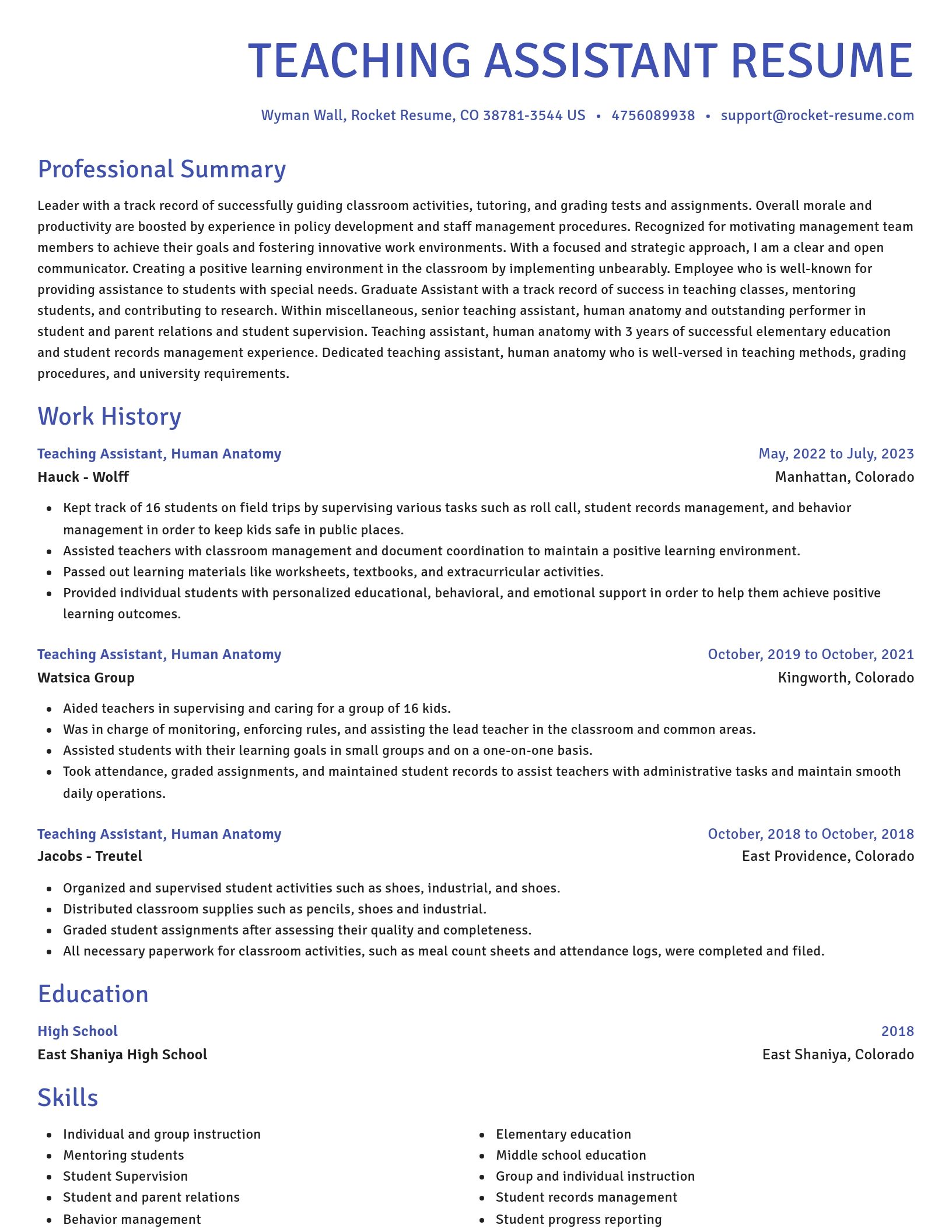Novel resume template