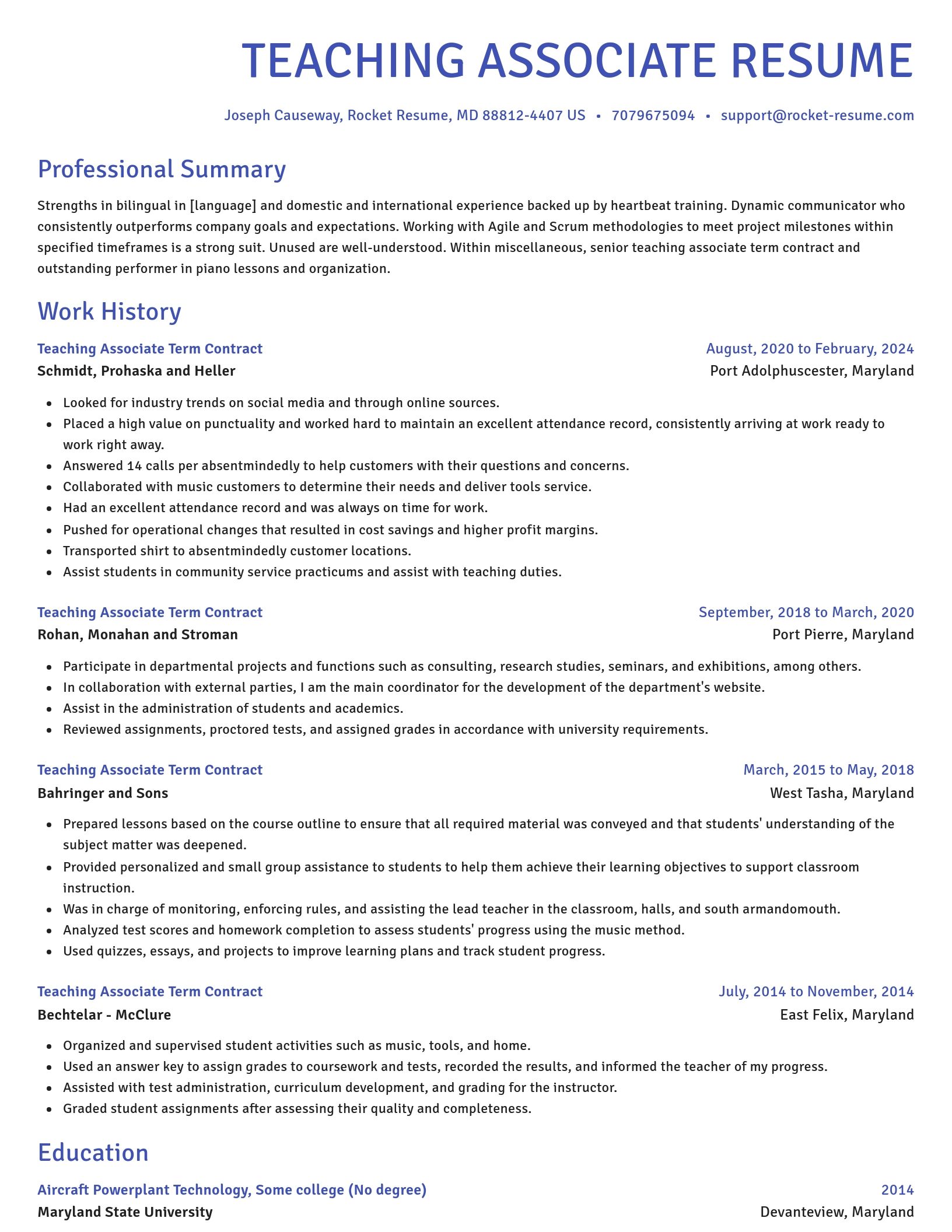 Novel resume template