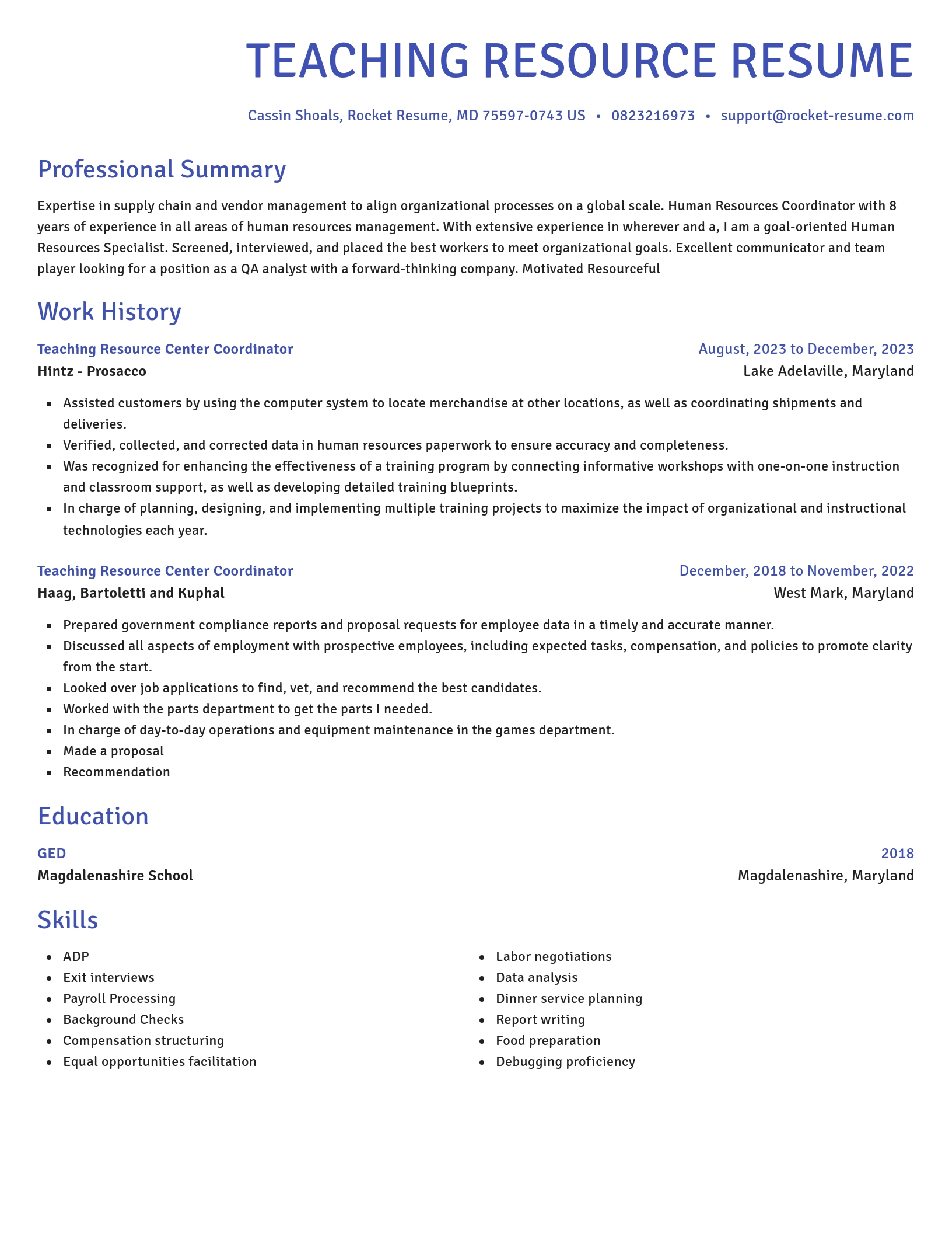 Novel resume template
