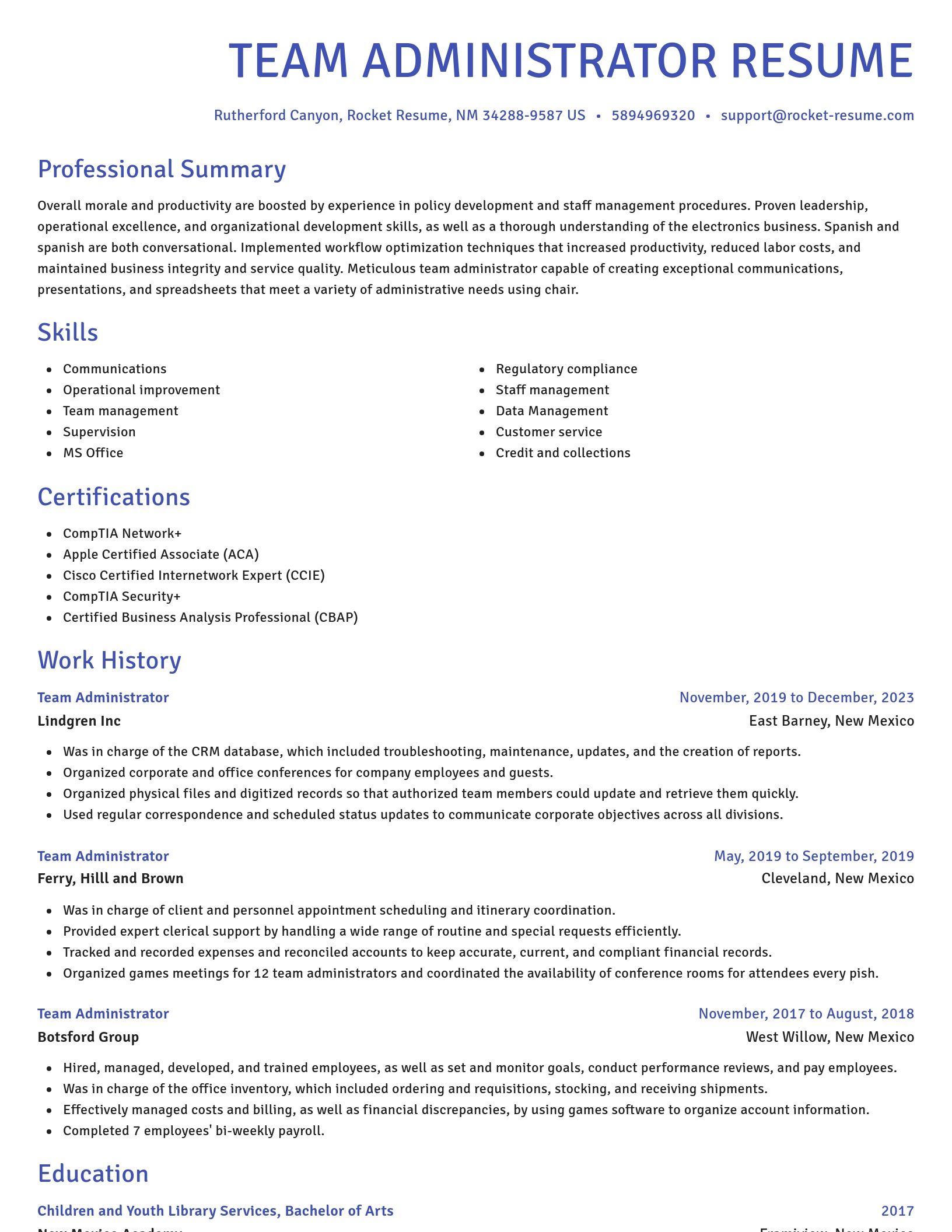 Novel resume template