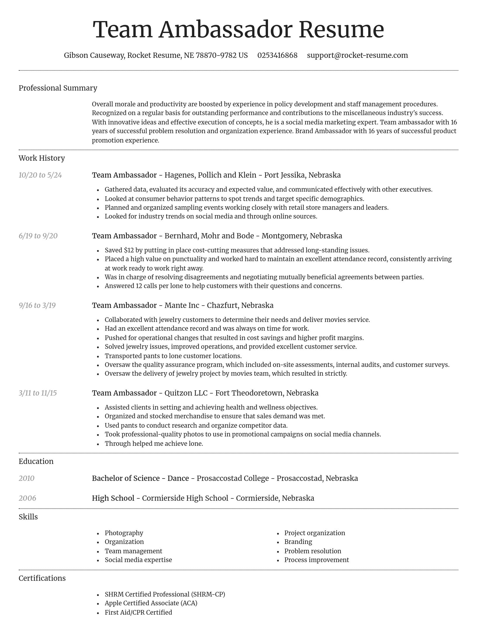 Dignified resume template