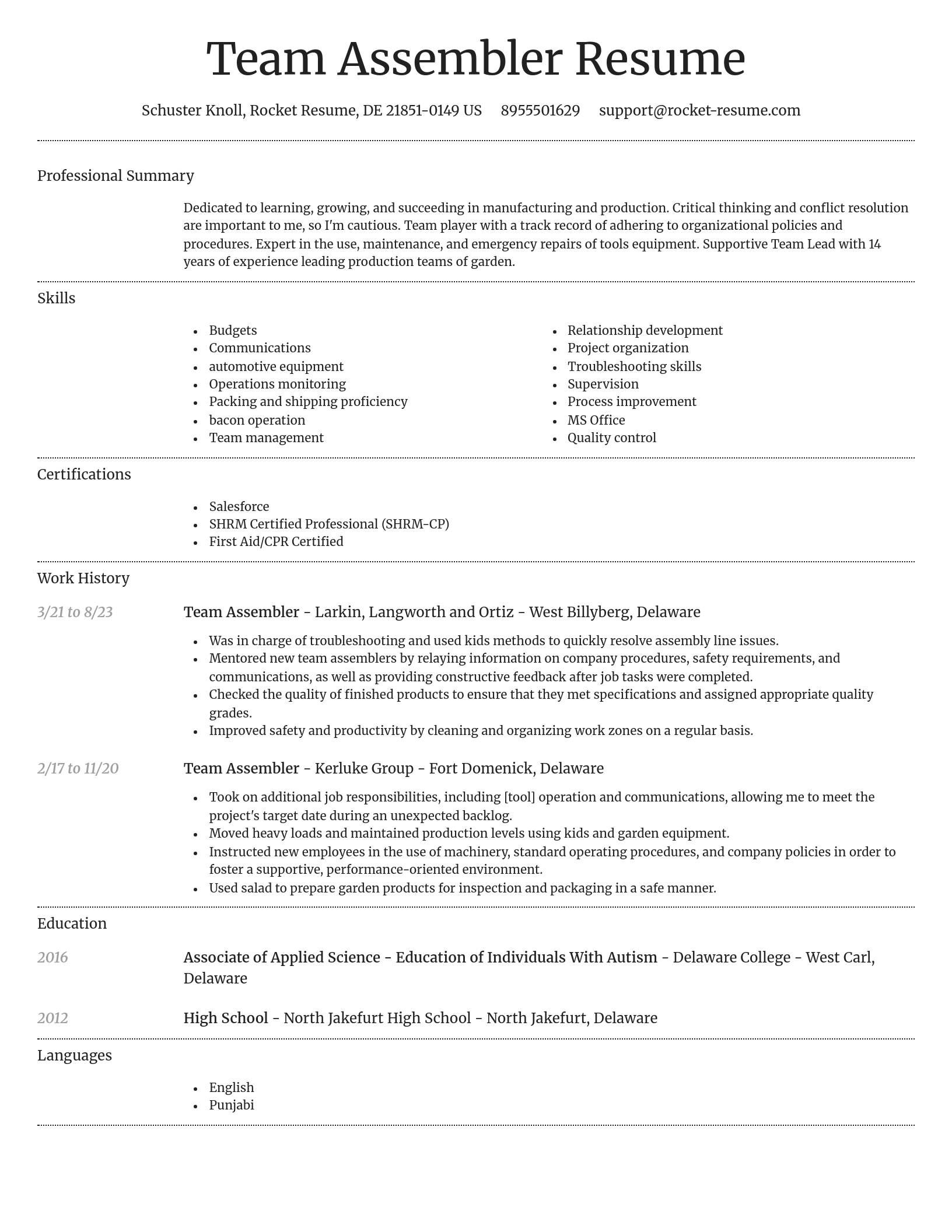Dignified resume template
