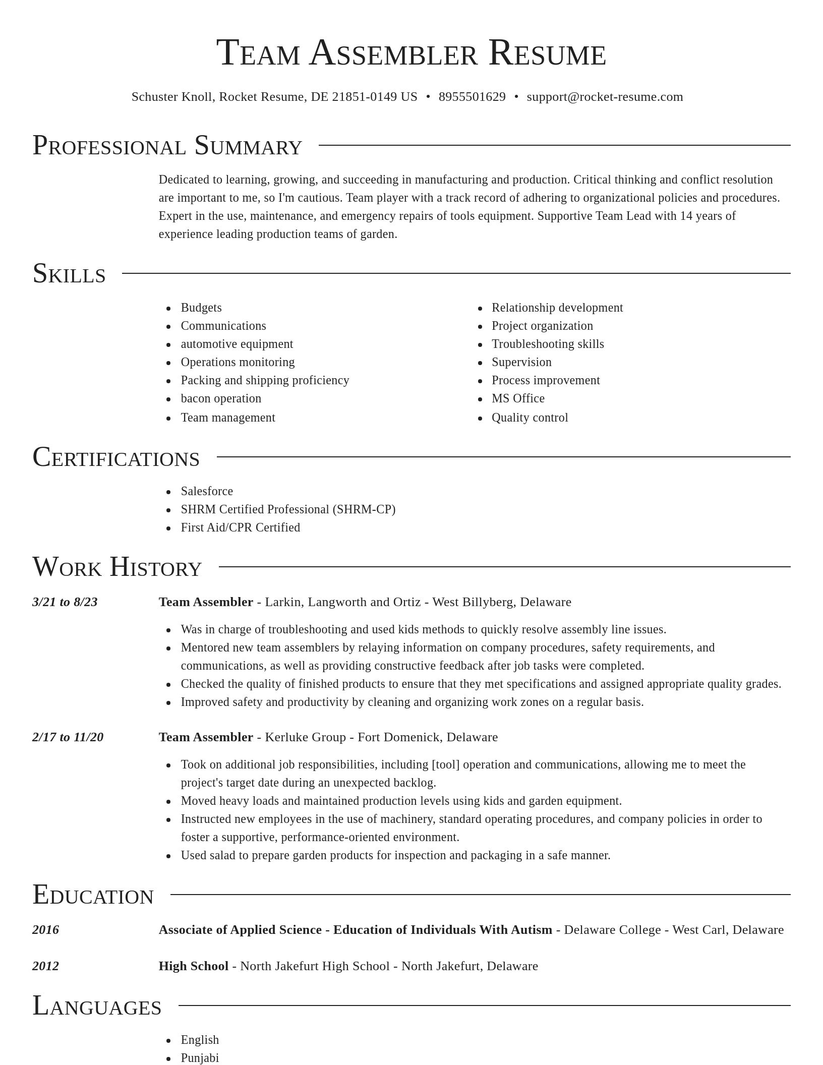 Director resume template