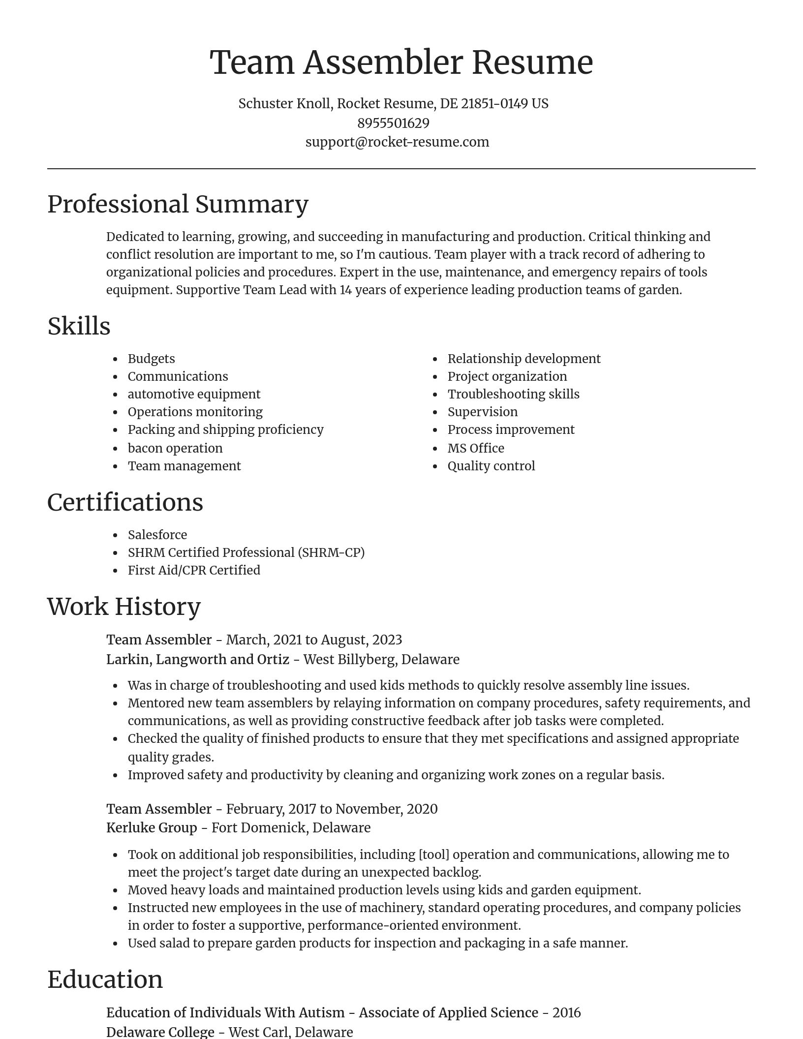 Focal Point resume template