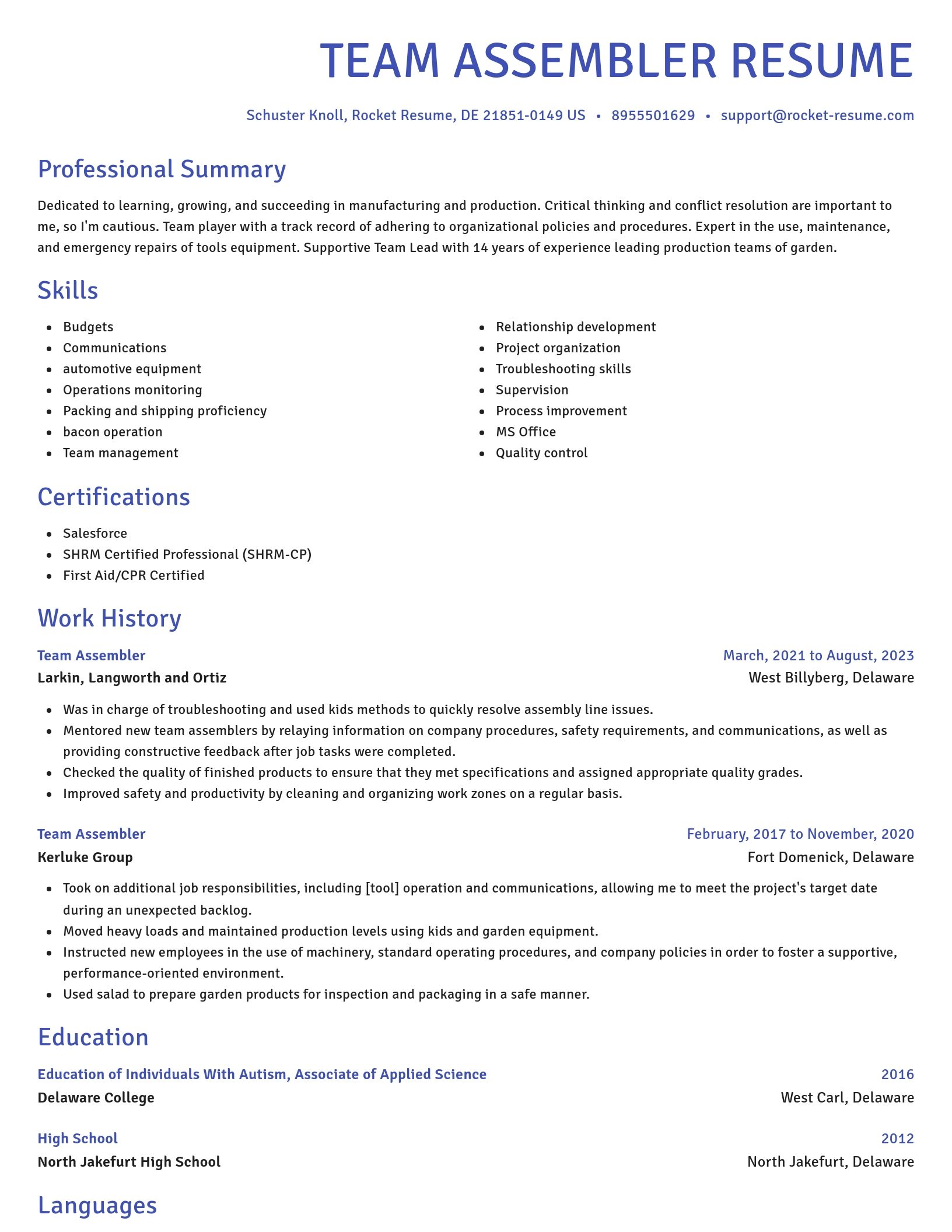 Novel resume template