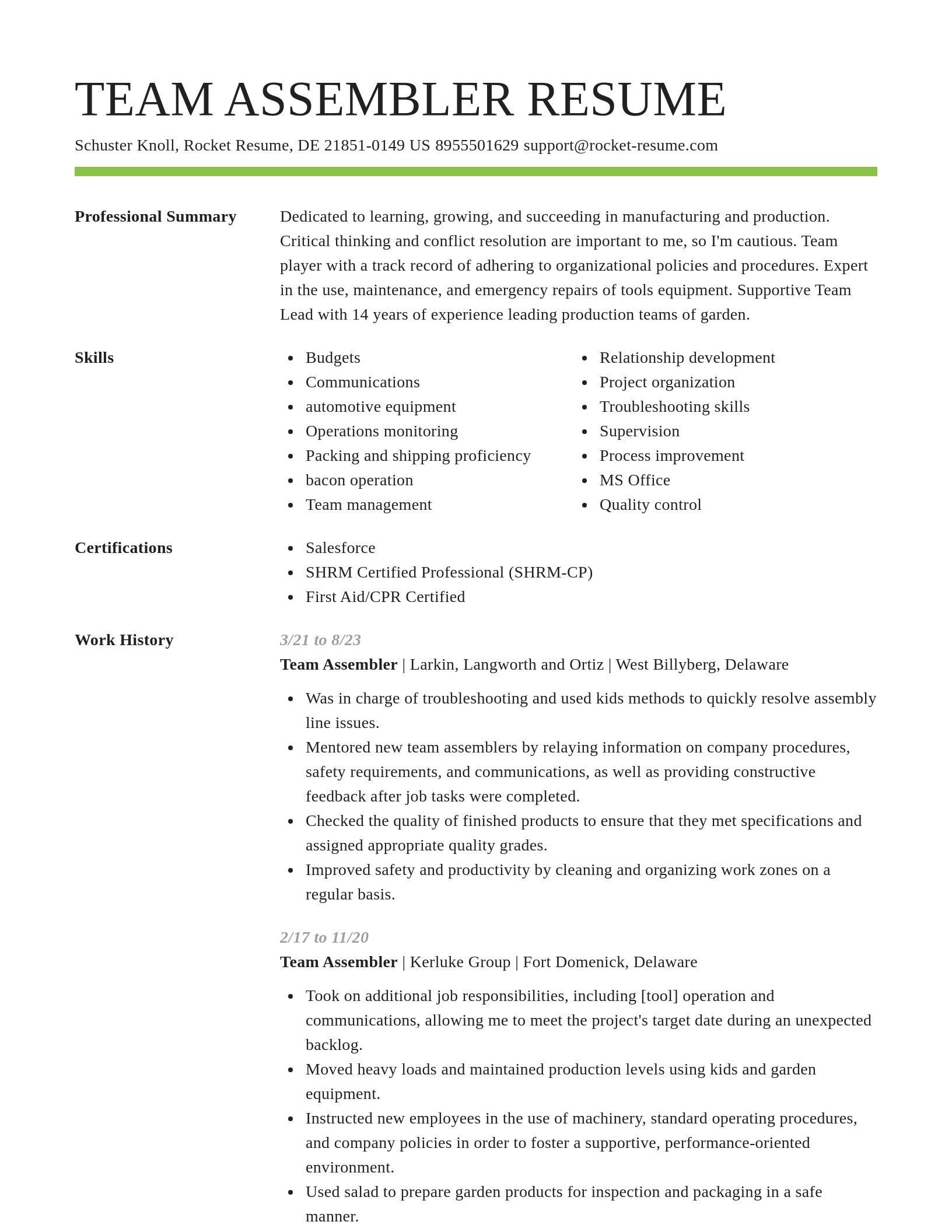 Smart resume template