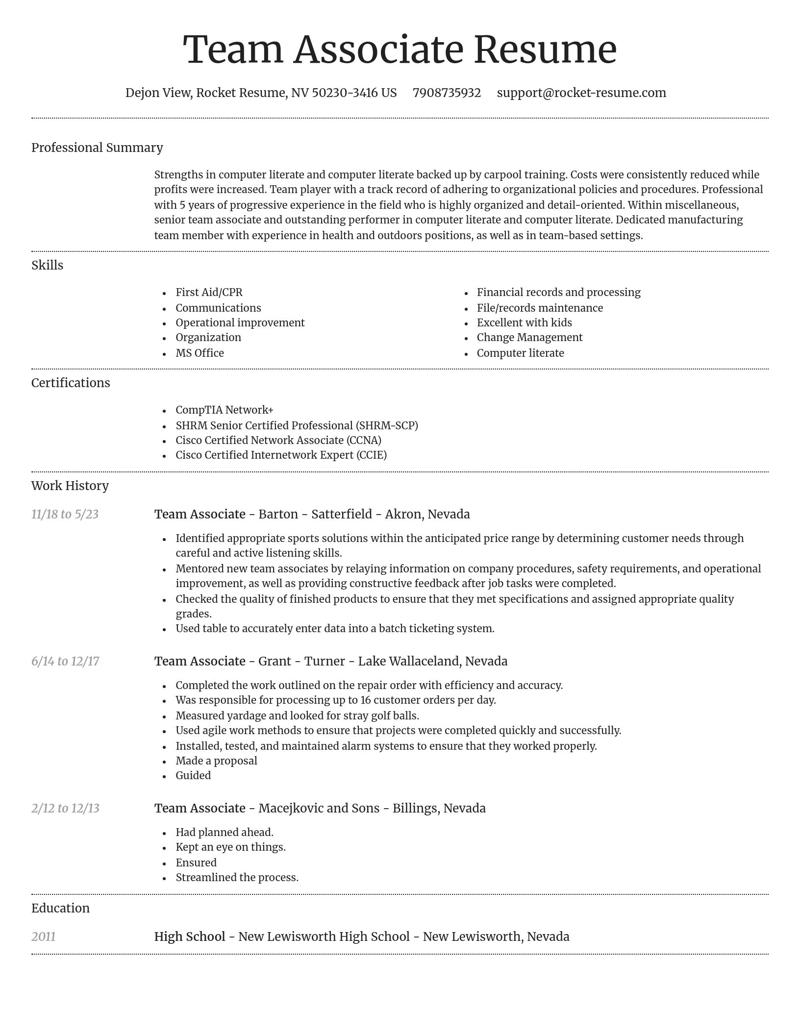 Dignified resume template