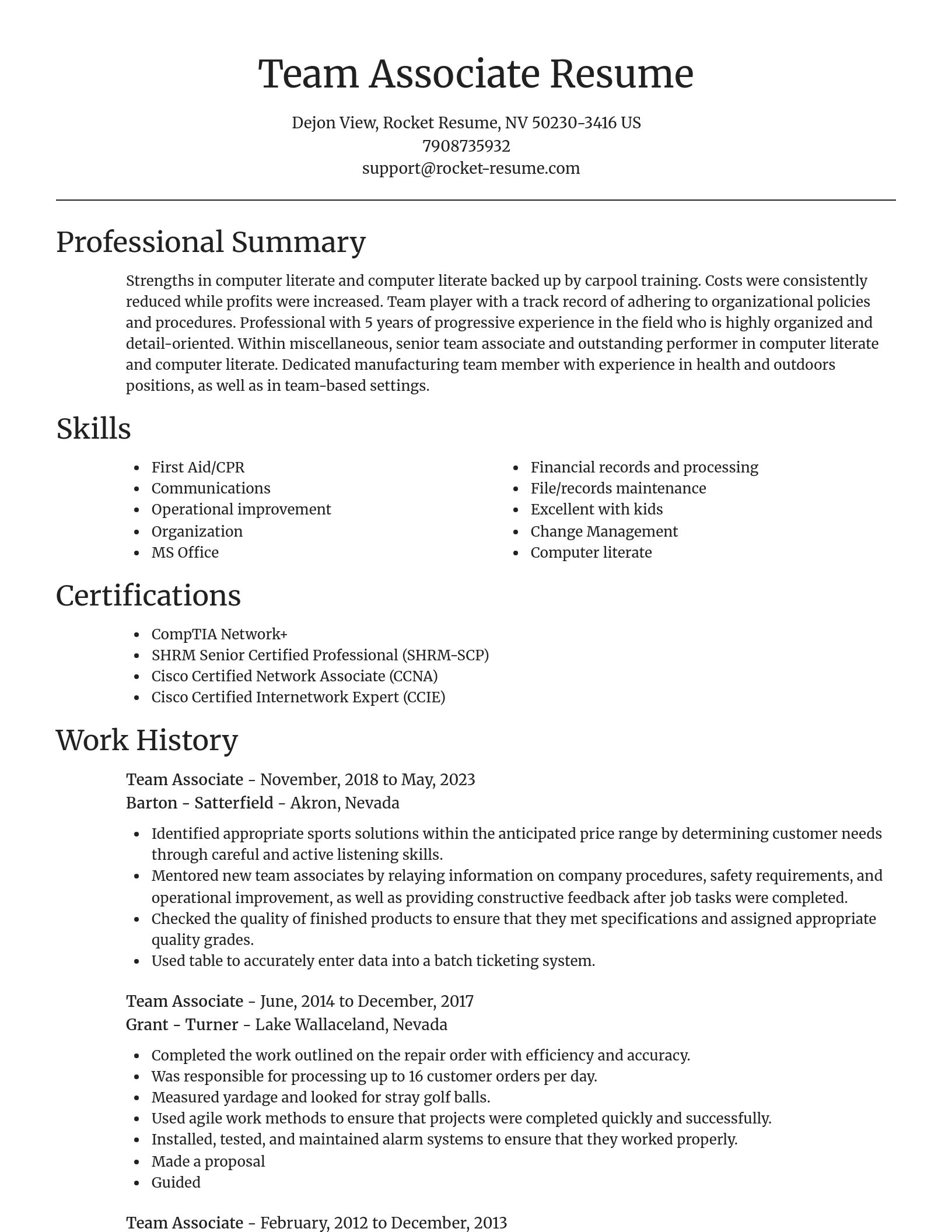 Focal Point resume template