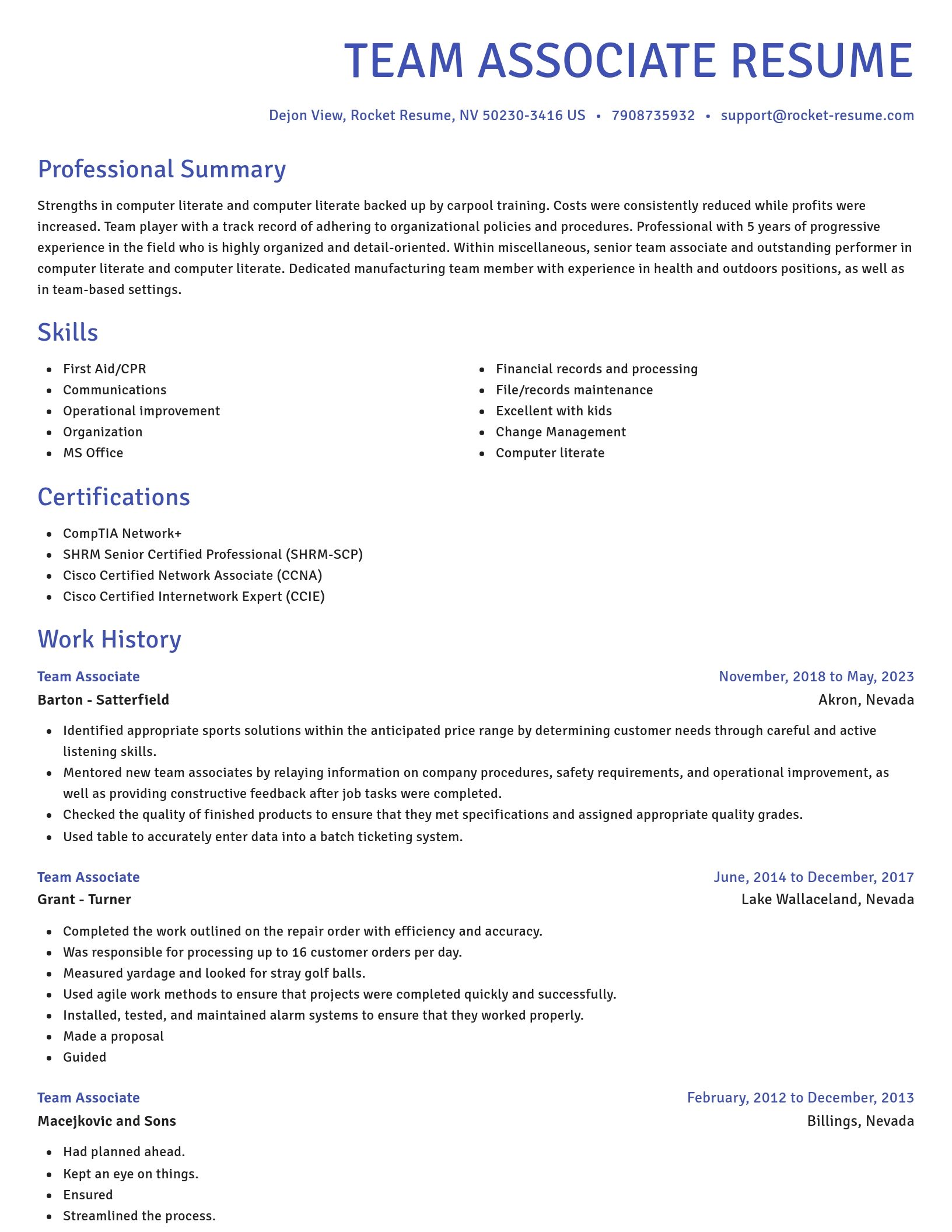 Novel resume template