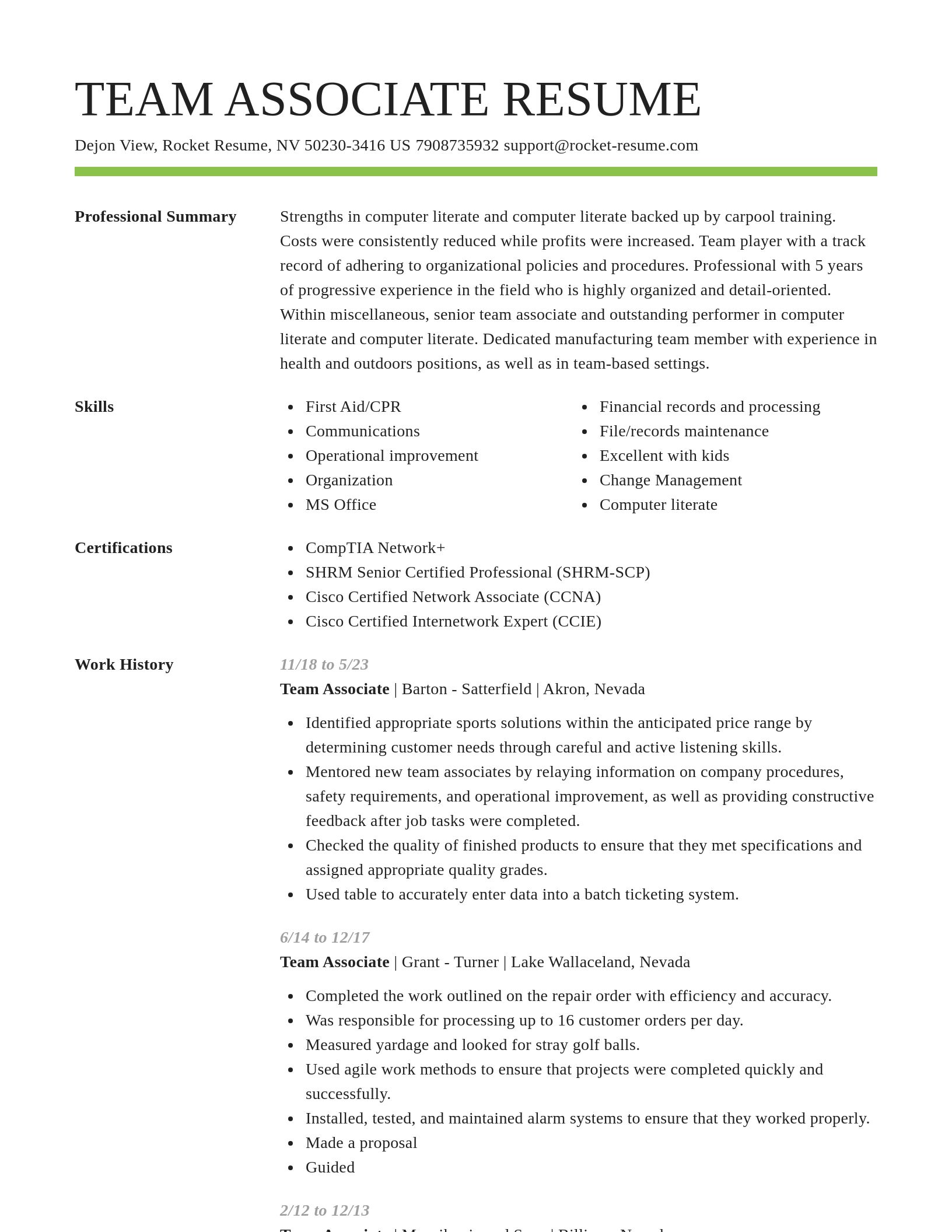 Smart resume template