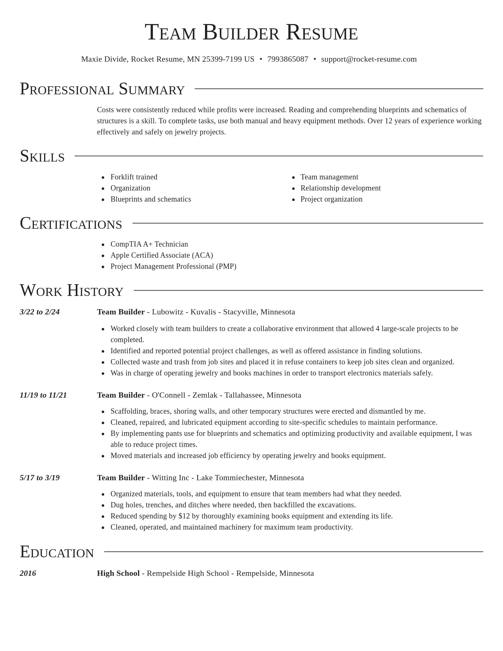 Director resume template