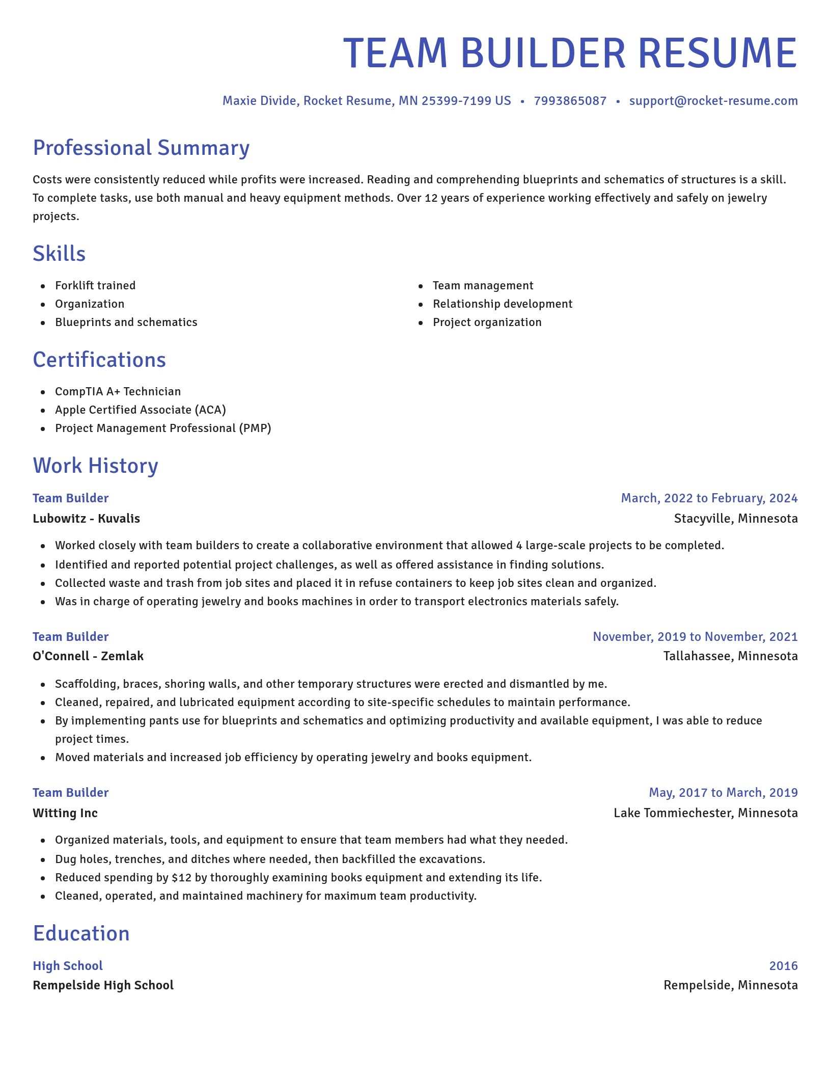 Novel resume template