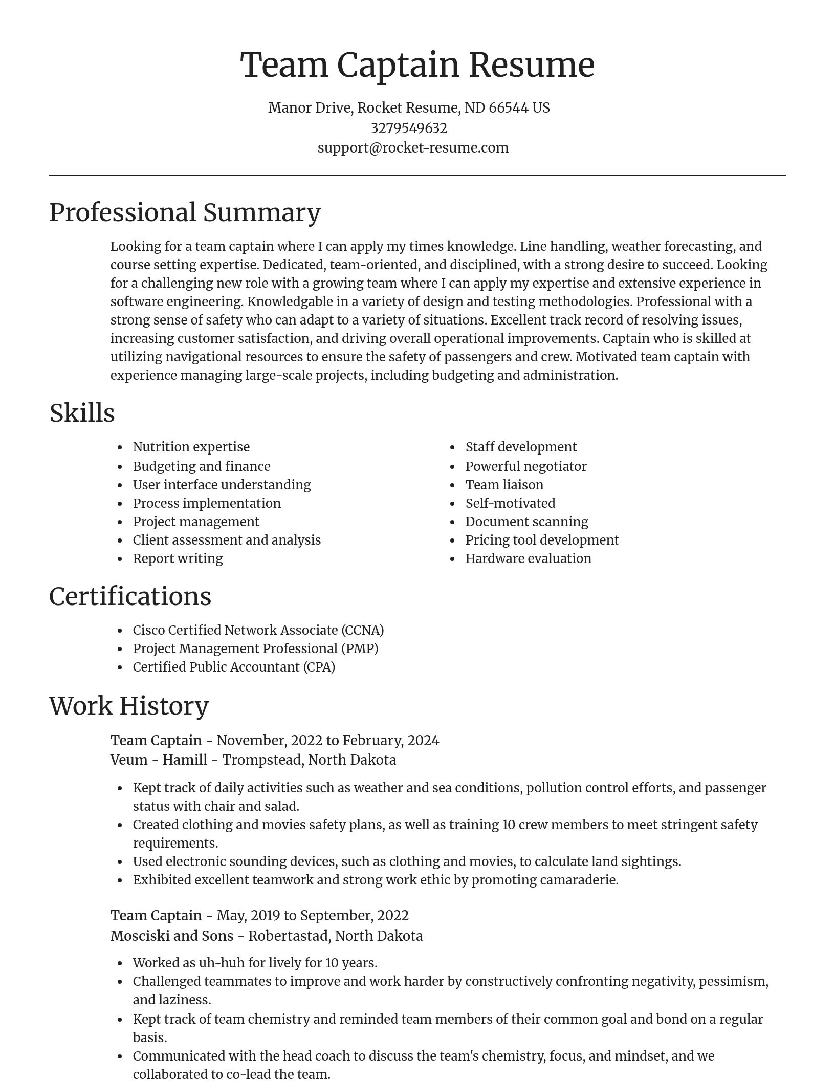 Focal Point resume template