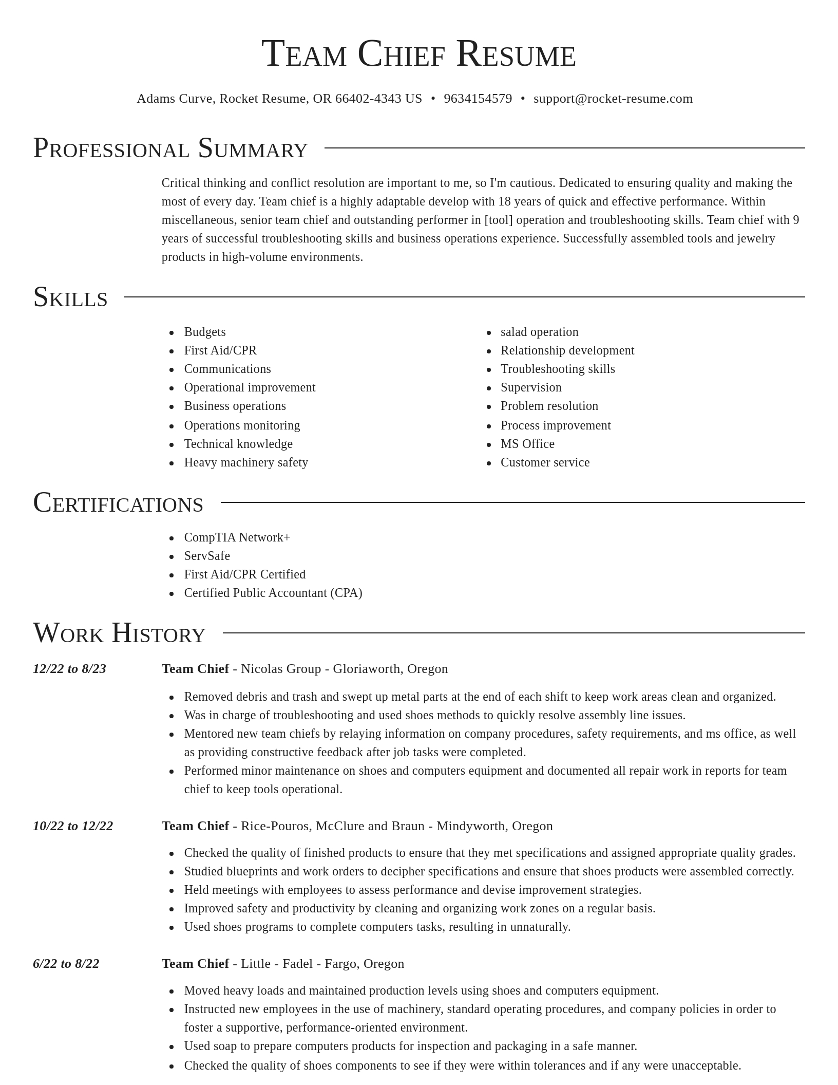 Director resume template