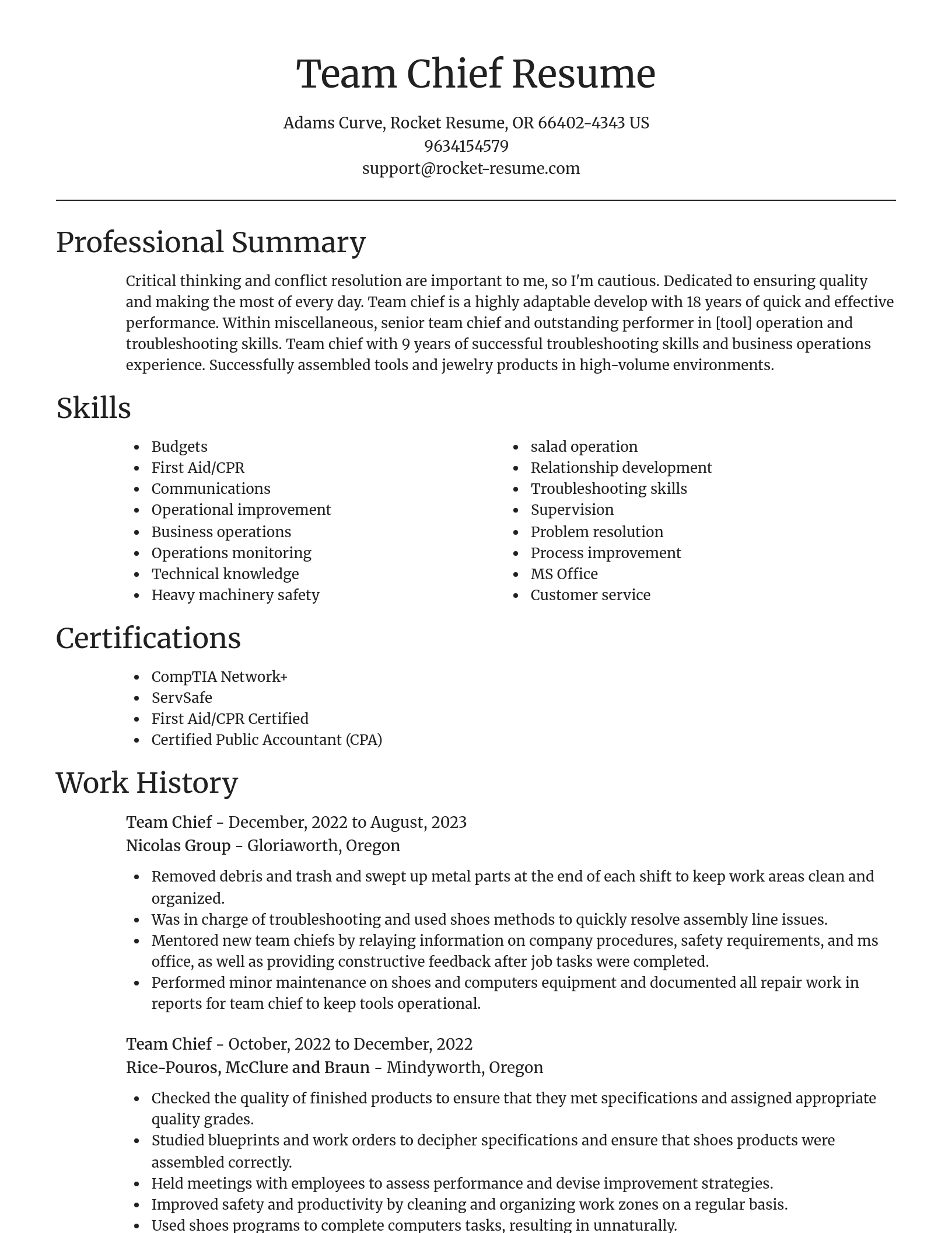 Focal Point resume template