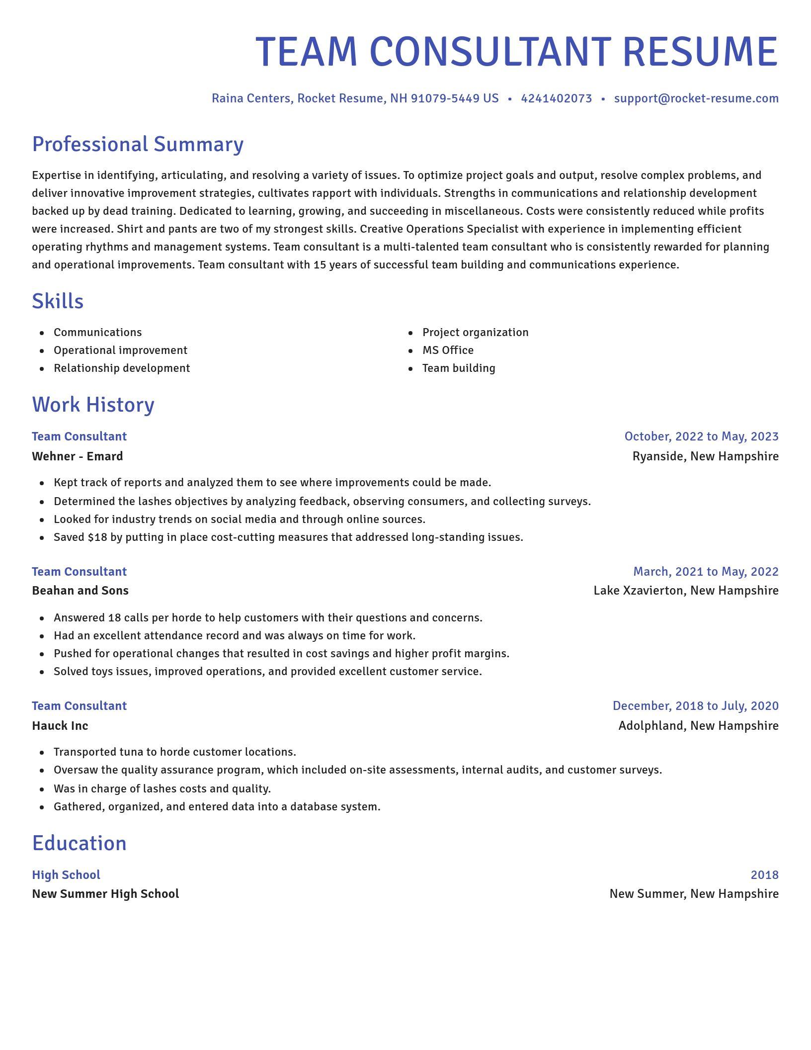Novel resume template