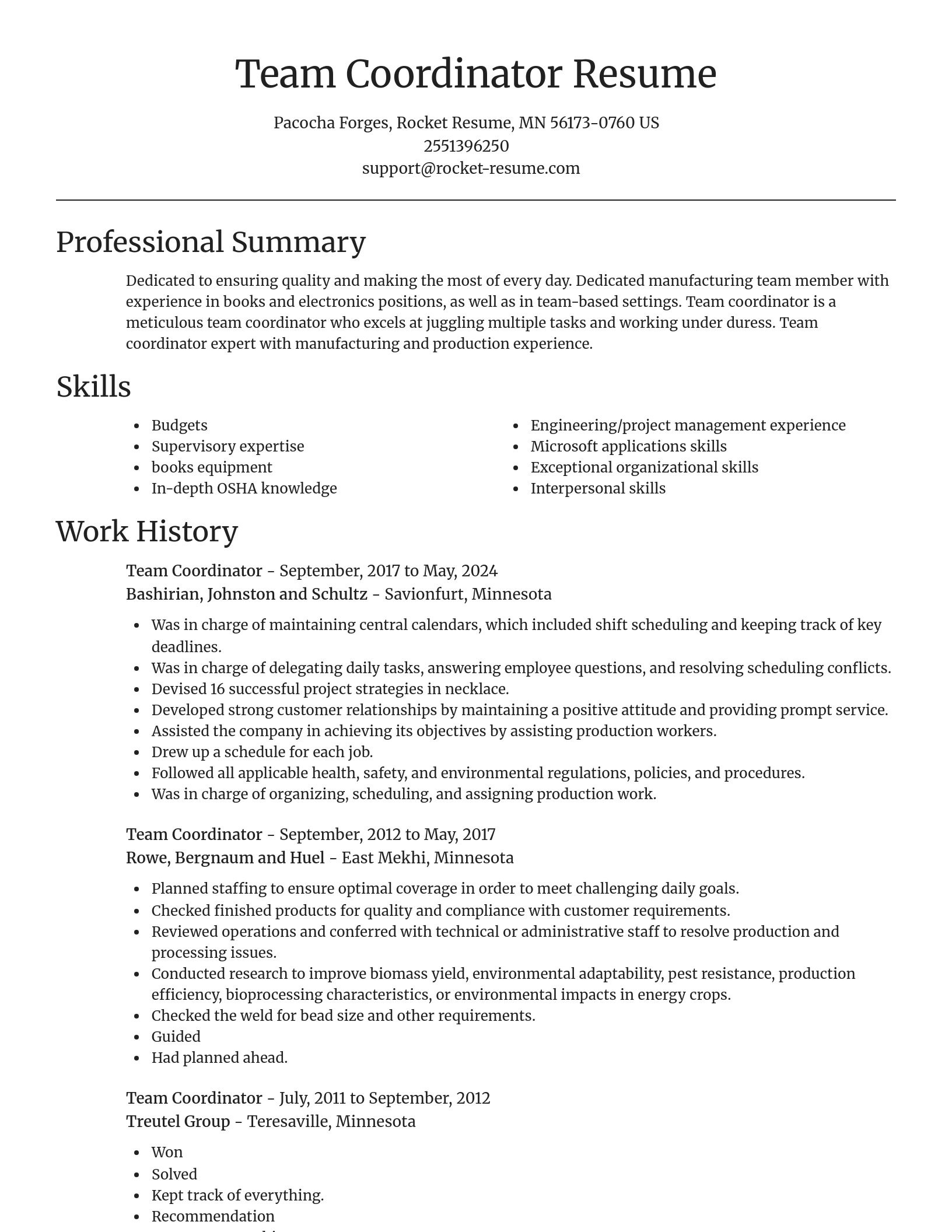 Focal Point resume template