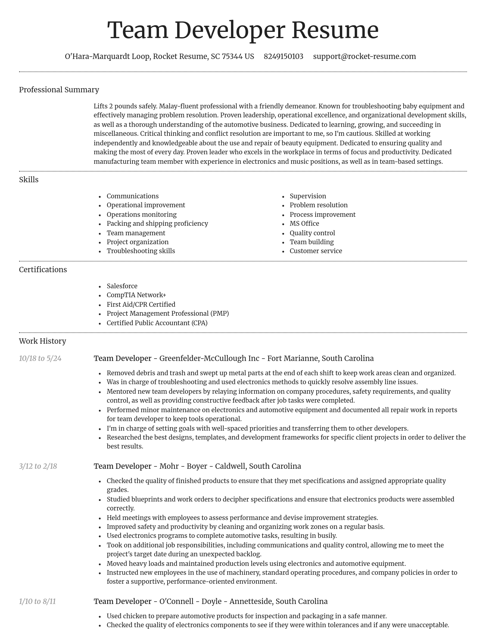 Dignified resume template
