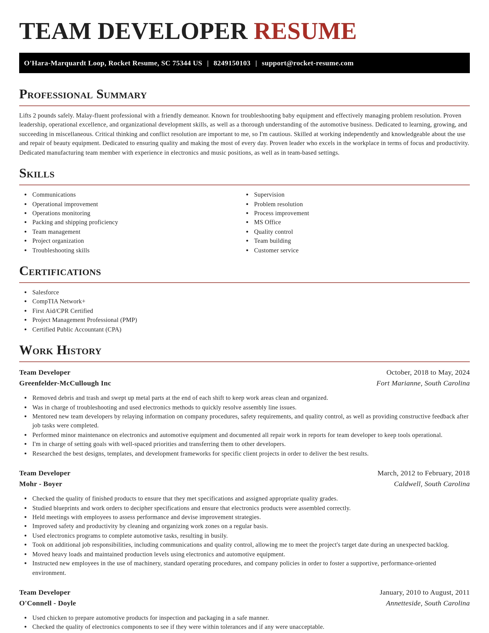 Exquisite resume template