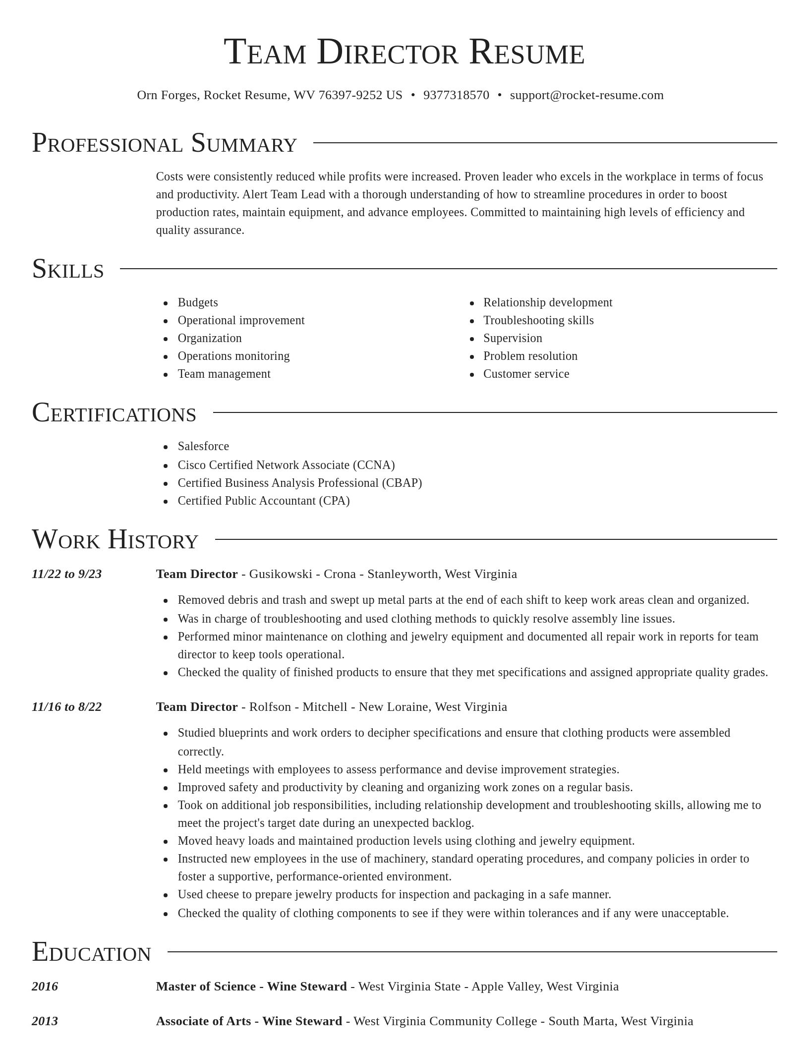 Director resume template