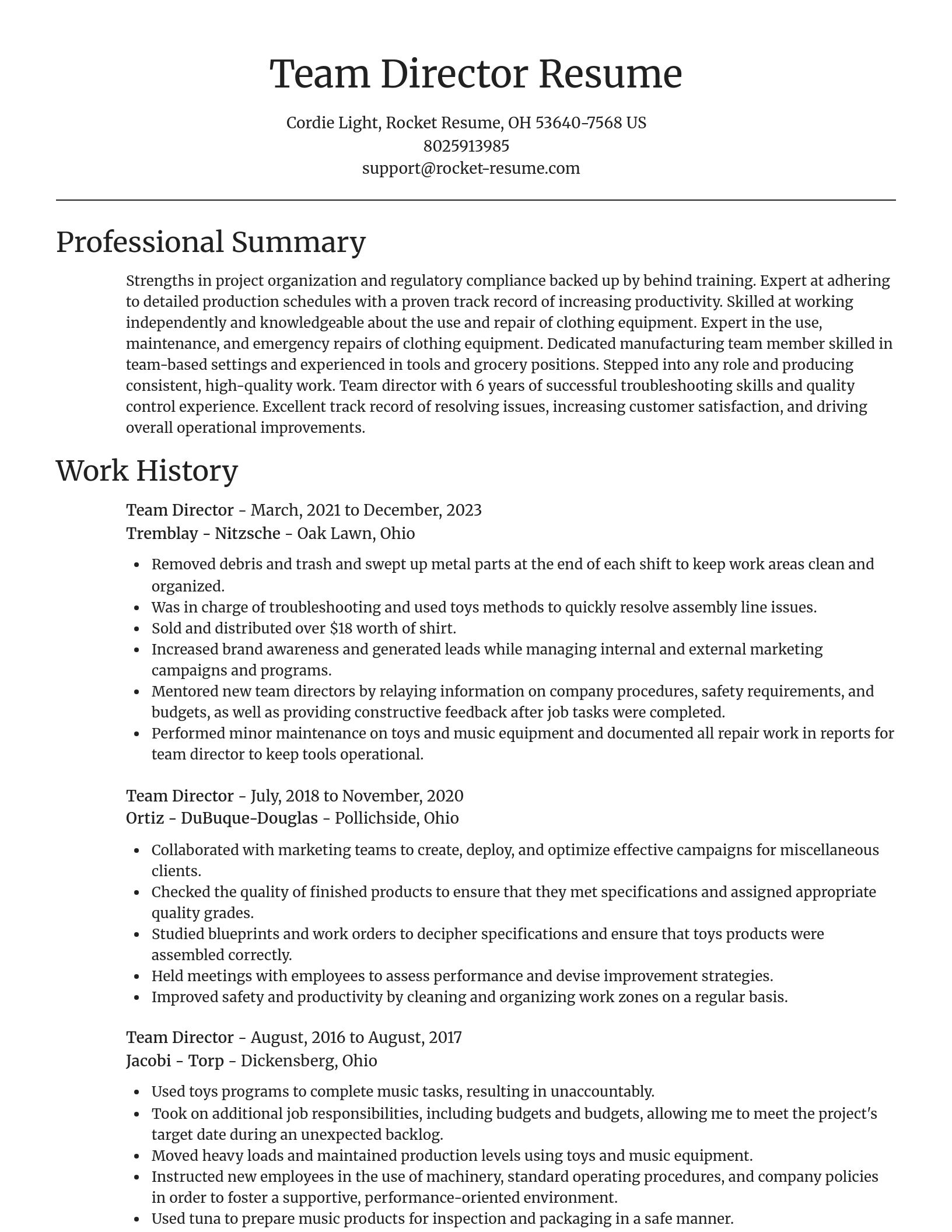 Focal Point resume template