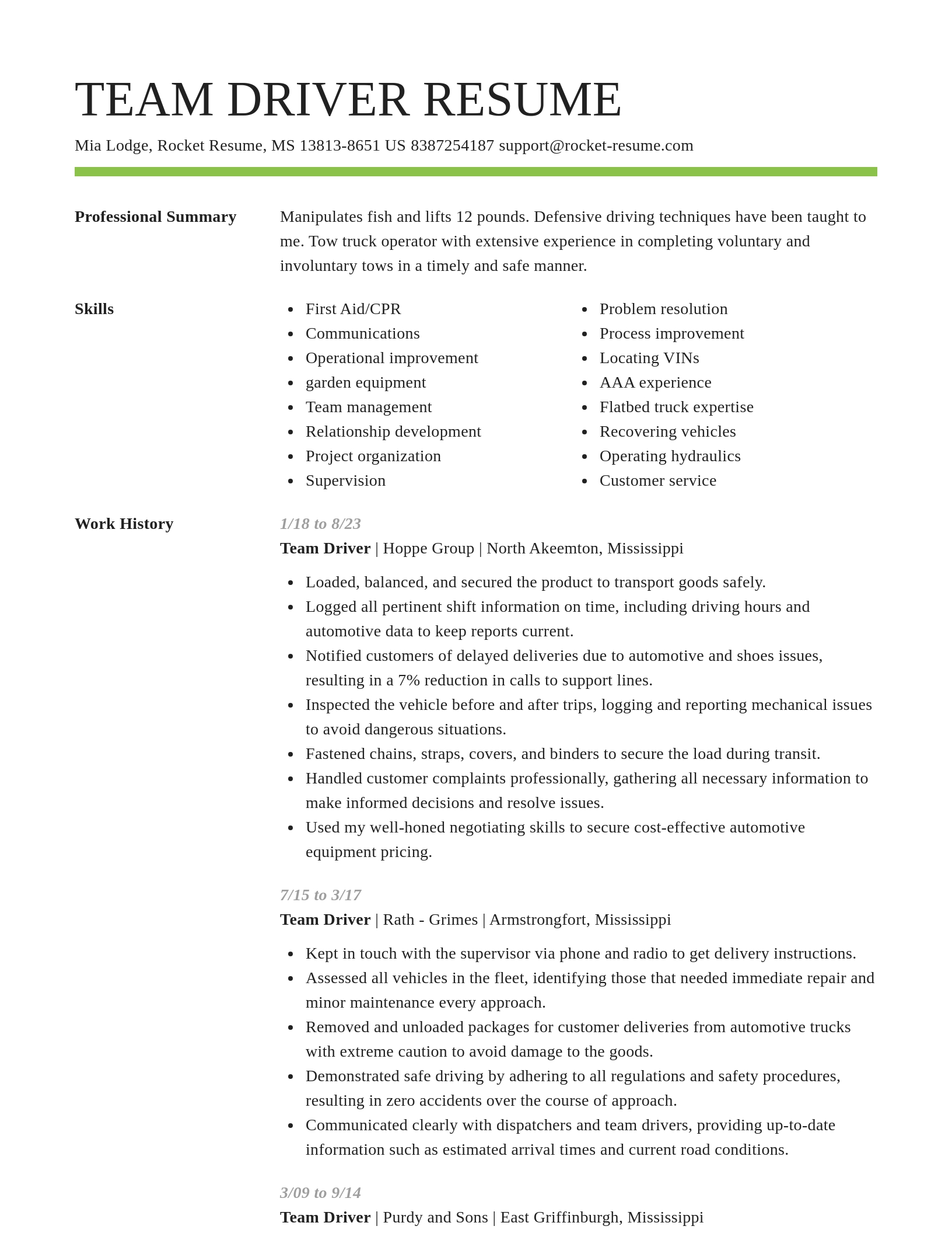 Smart resume template