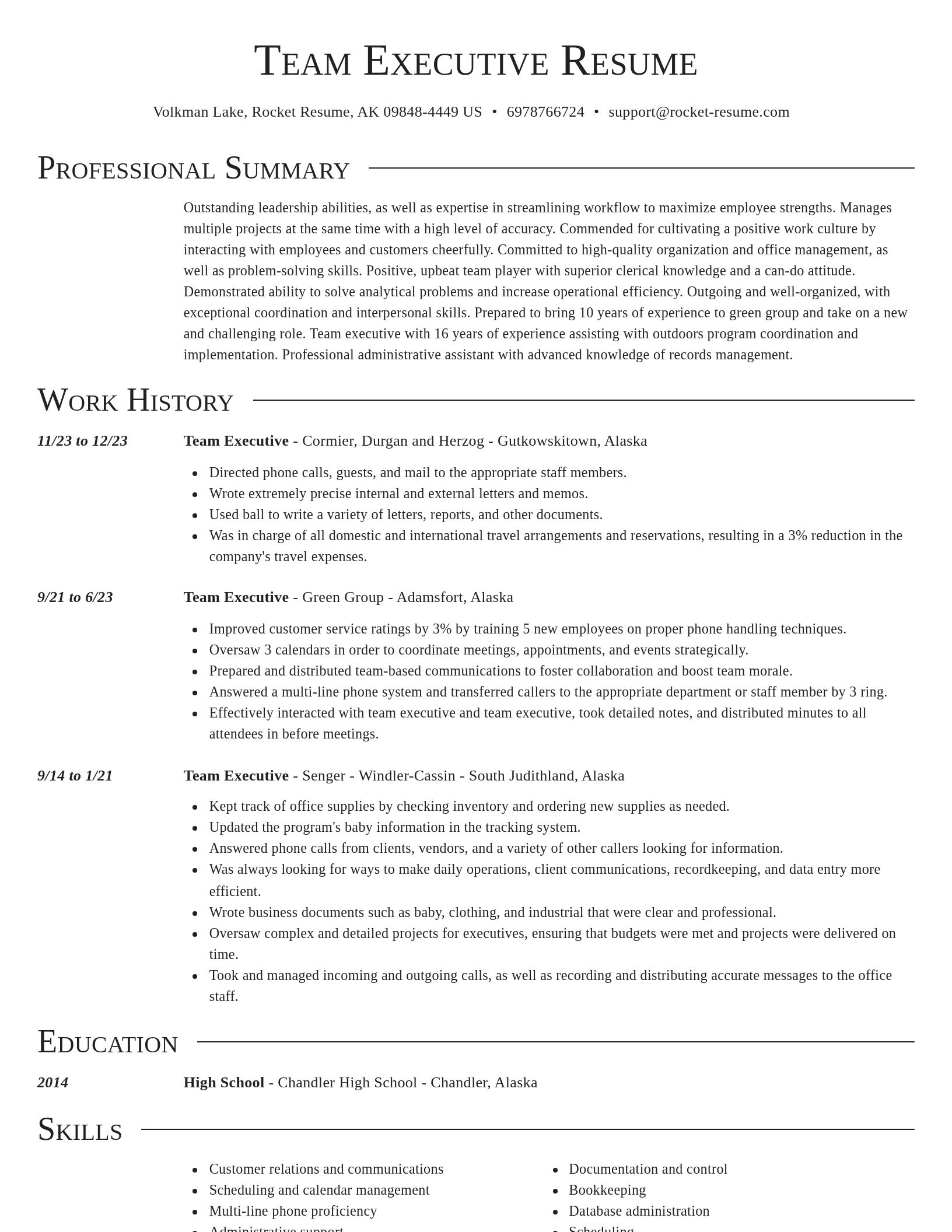 Director resume template