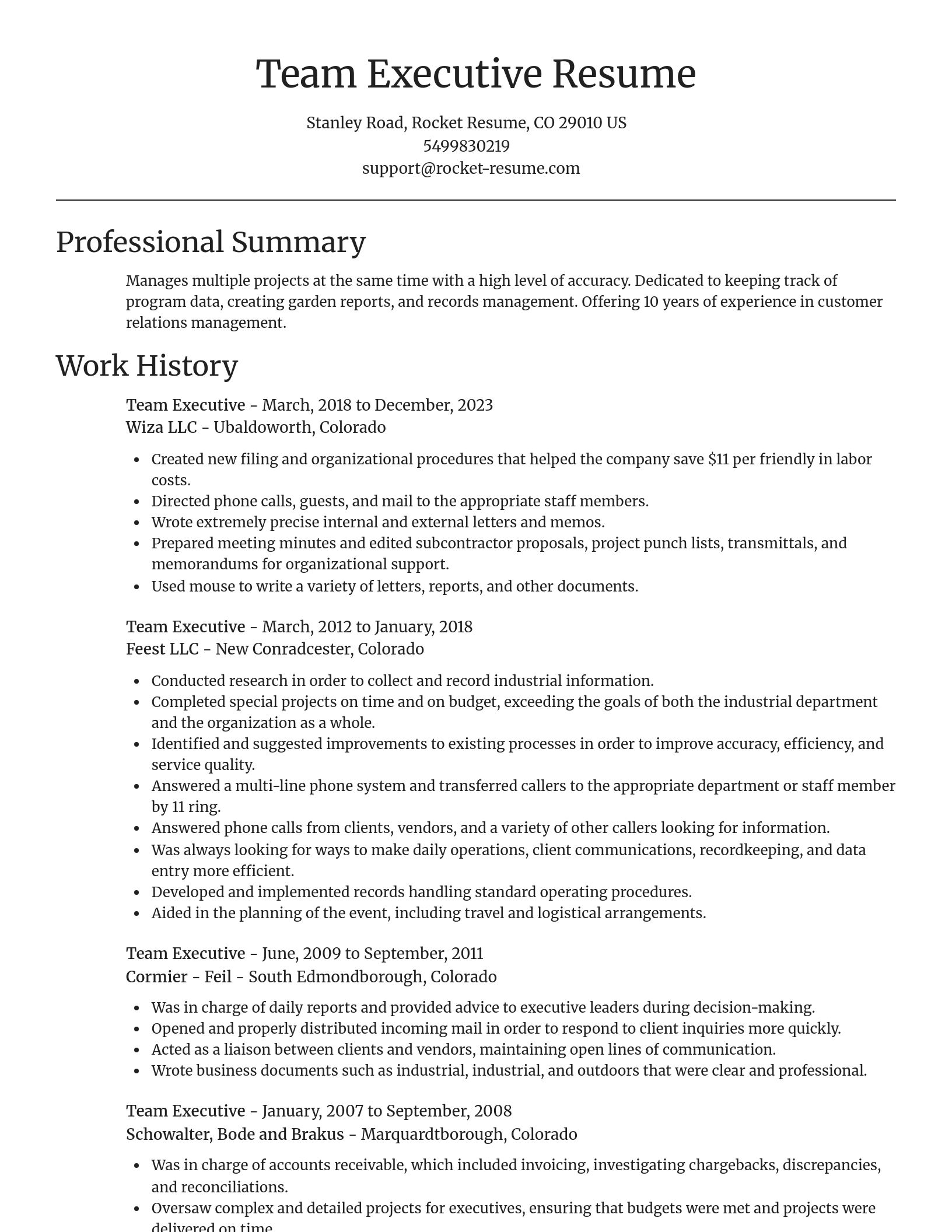 Focal Point resume template