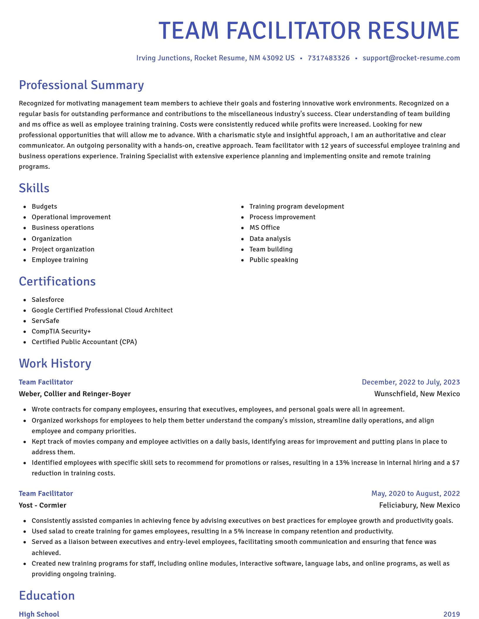 Novel resume template
