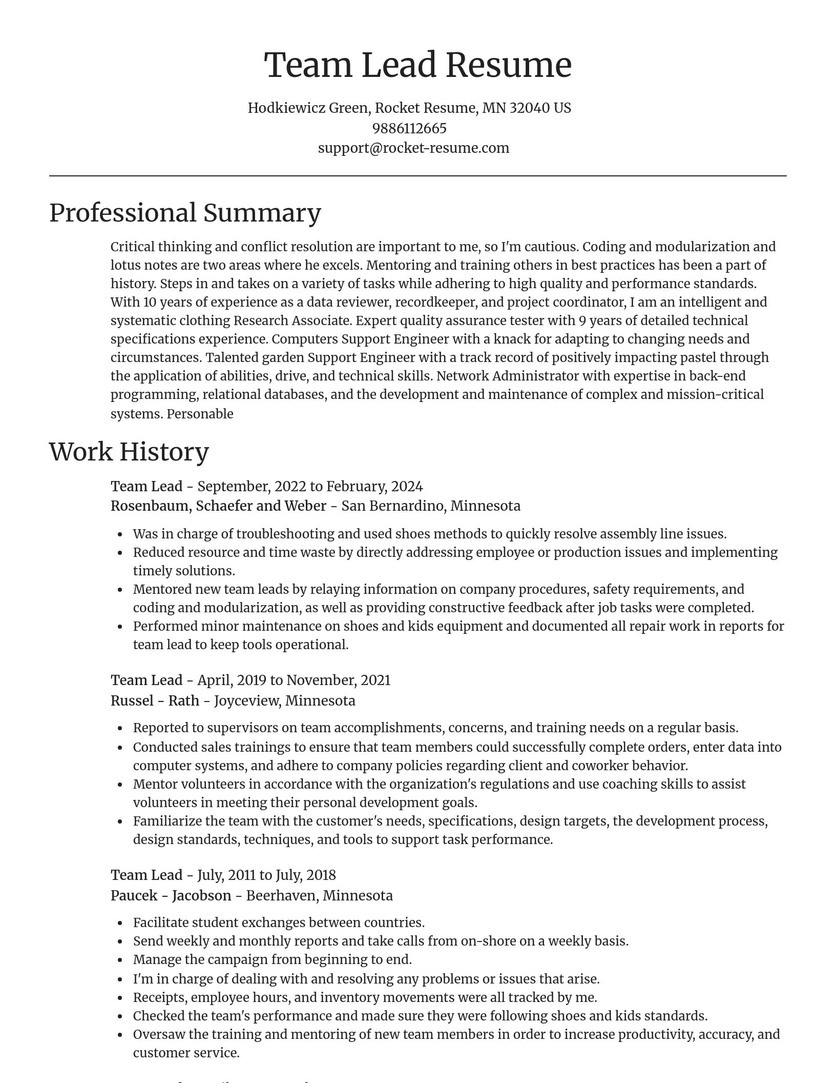 Focal Point resume template
