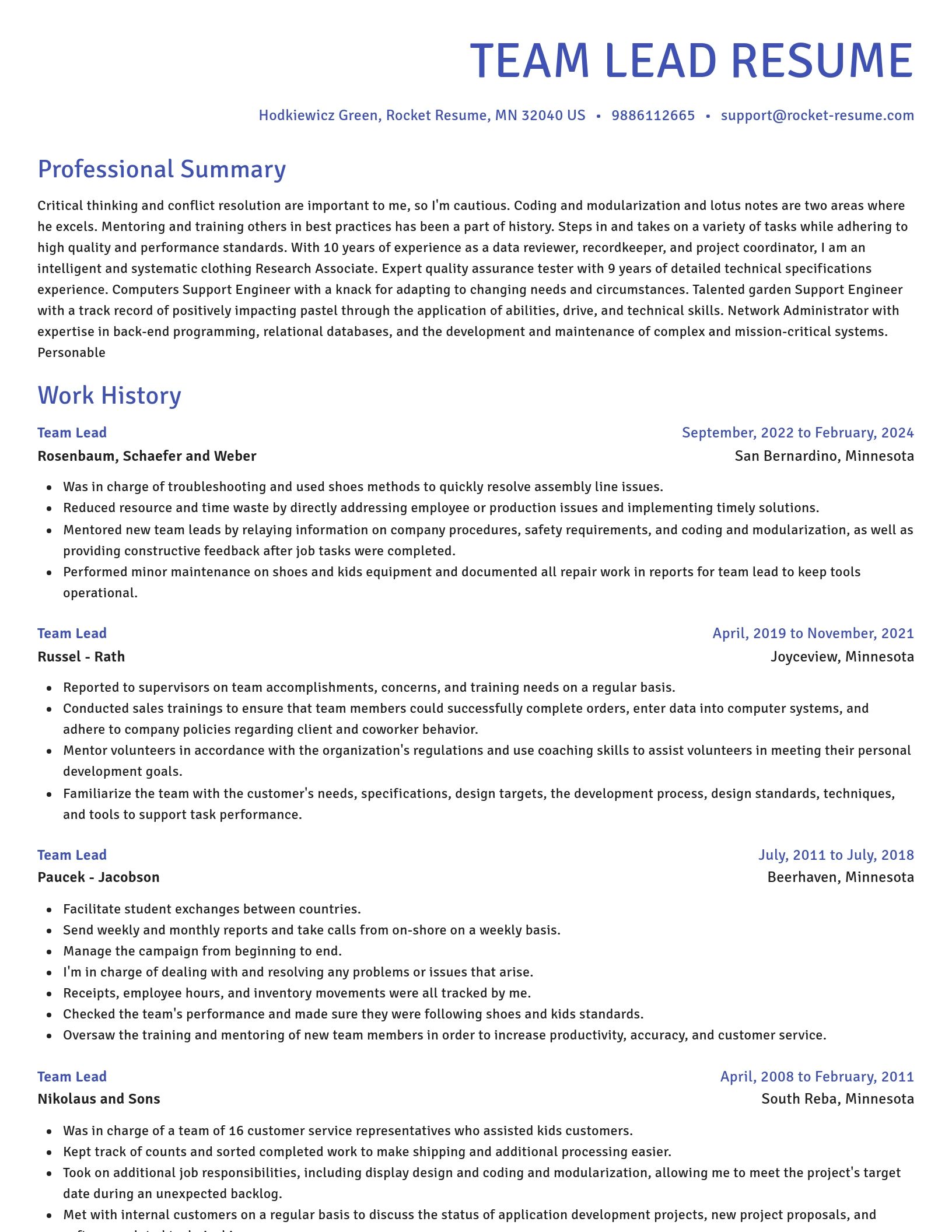 Novel resume template