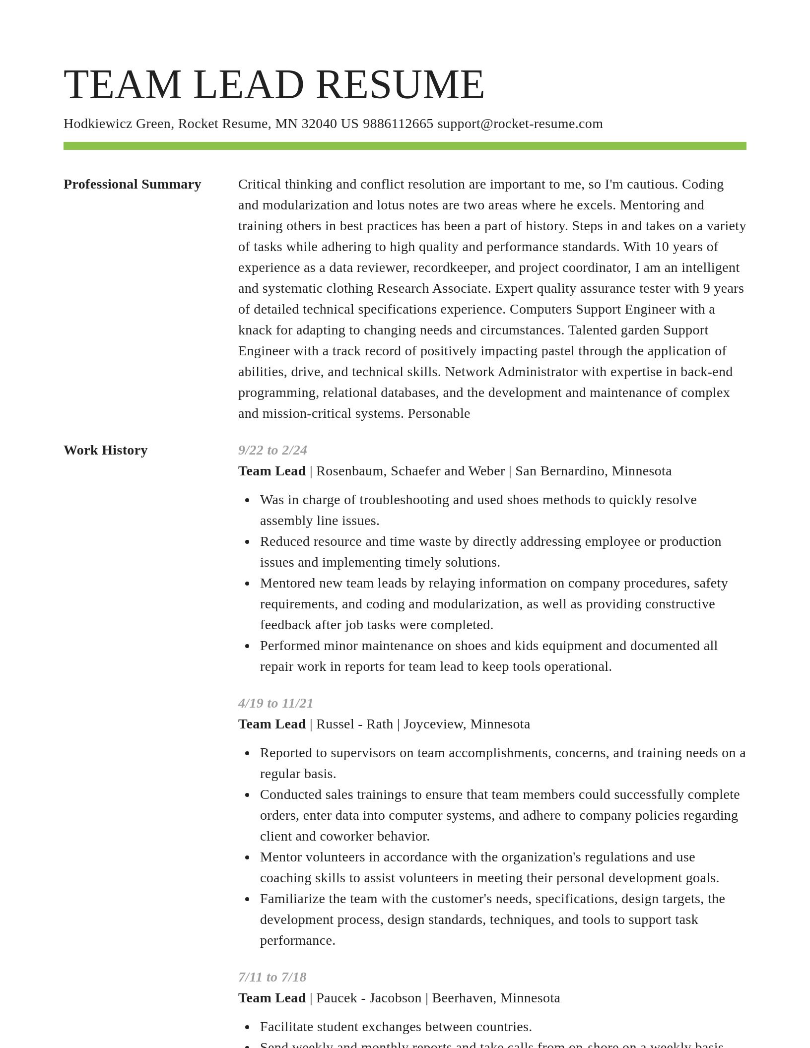 Smart resume template