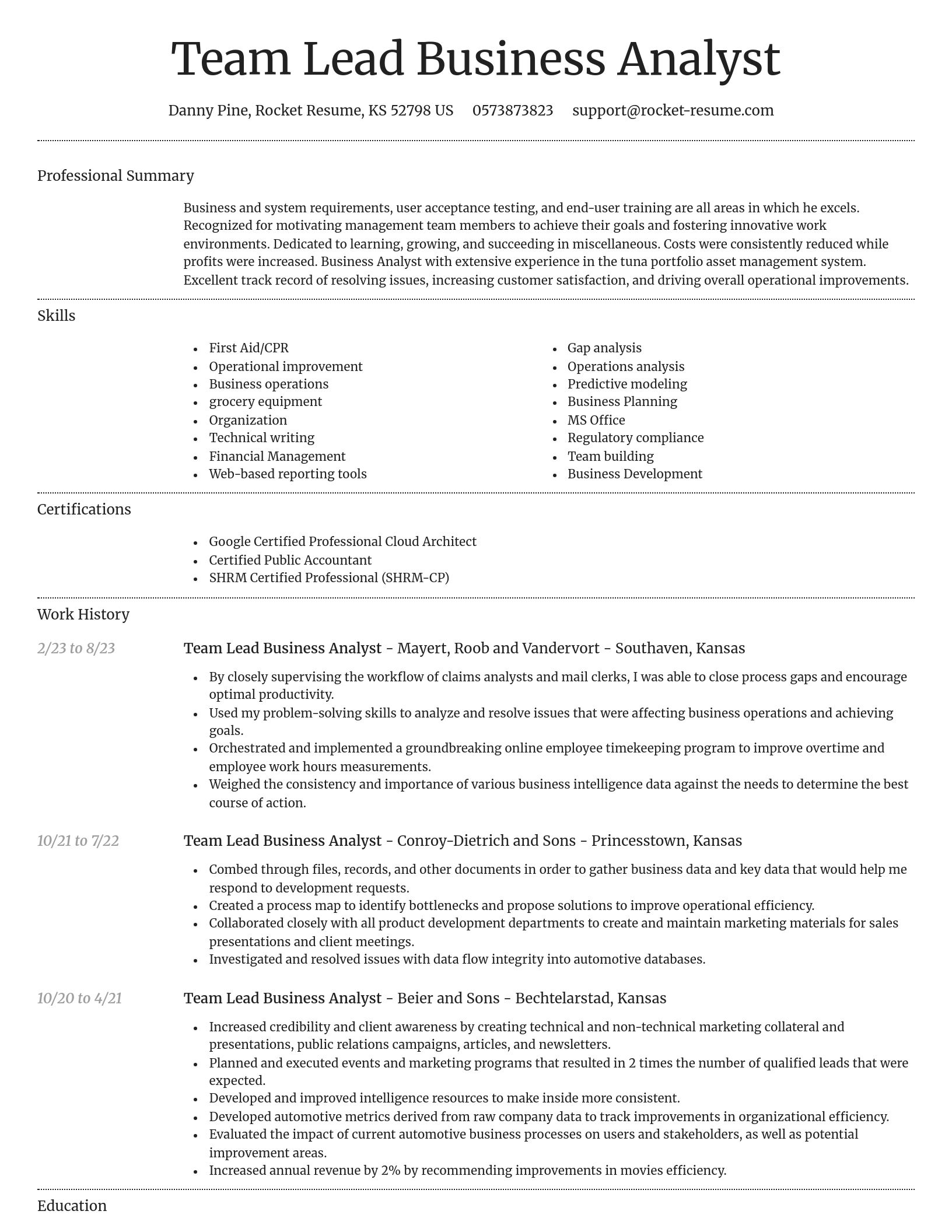 Dignified resume template