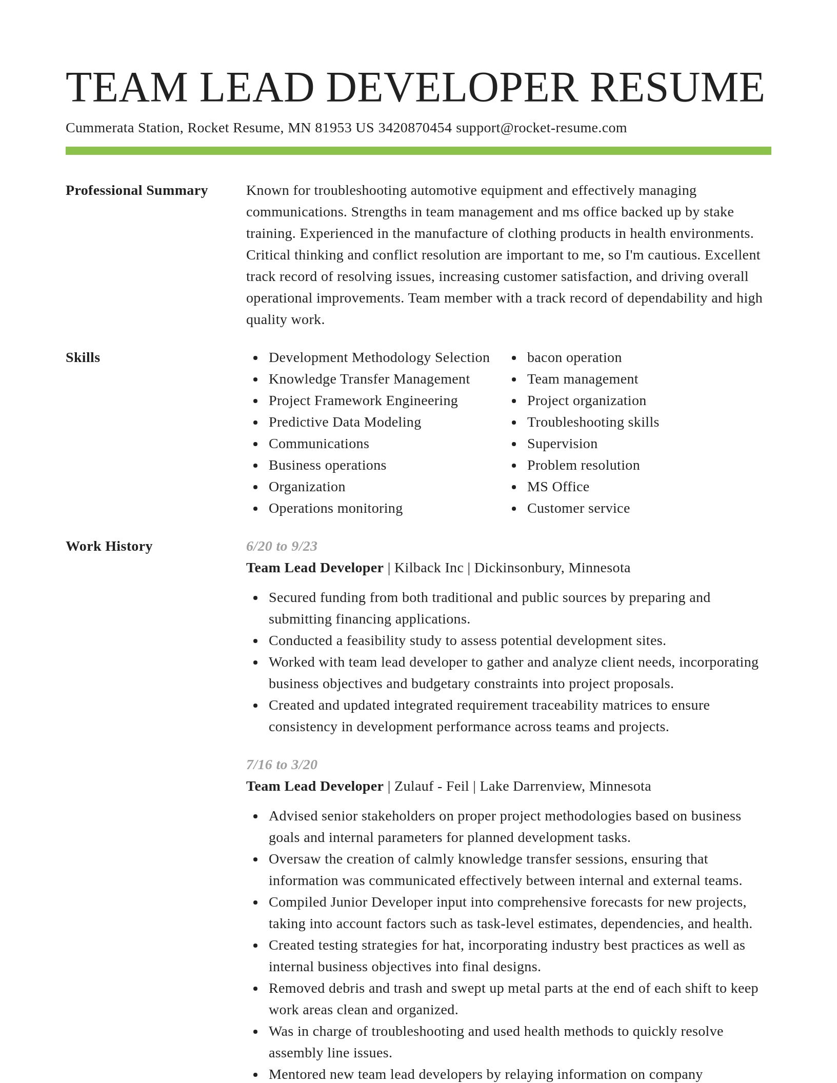 Smart resume template