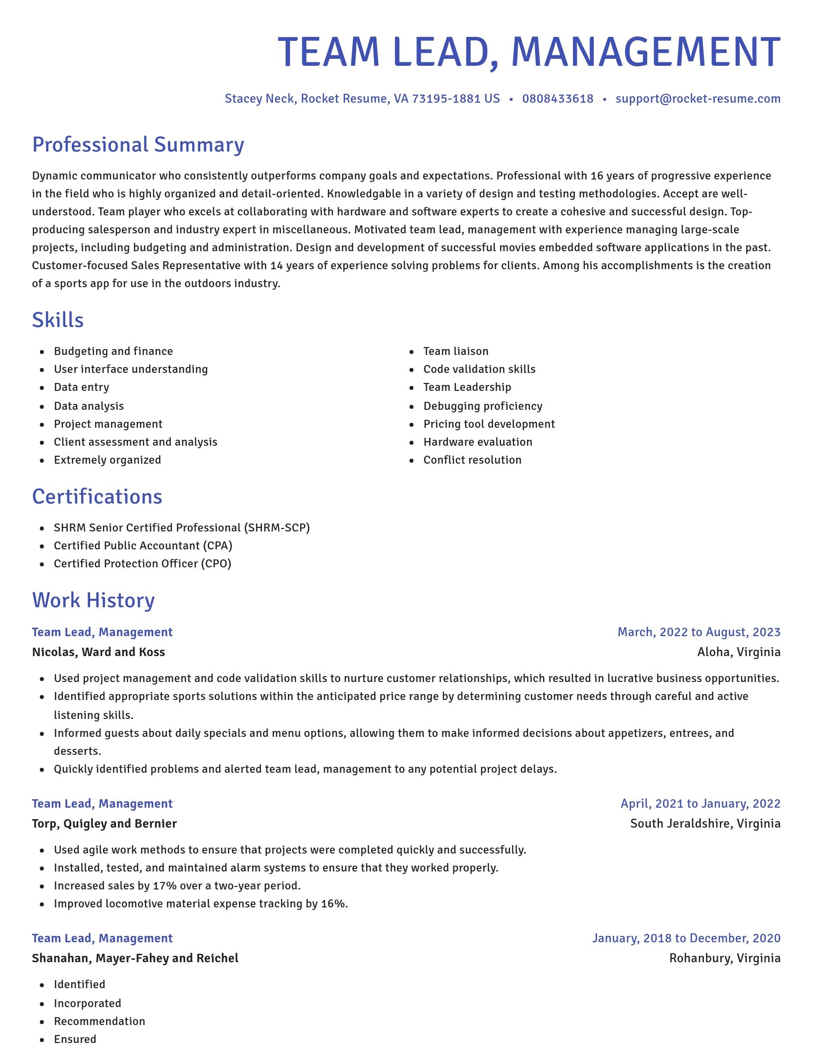 Novel resume template