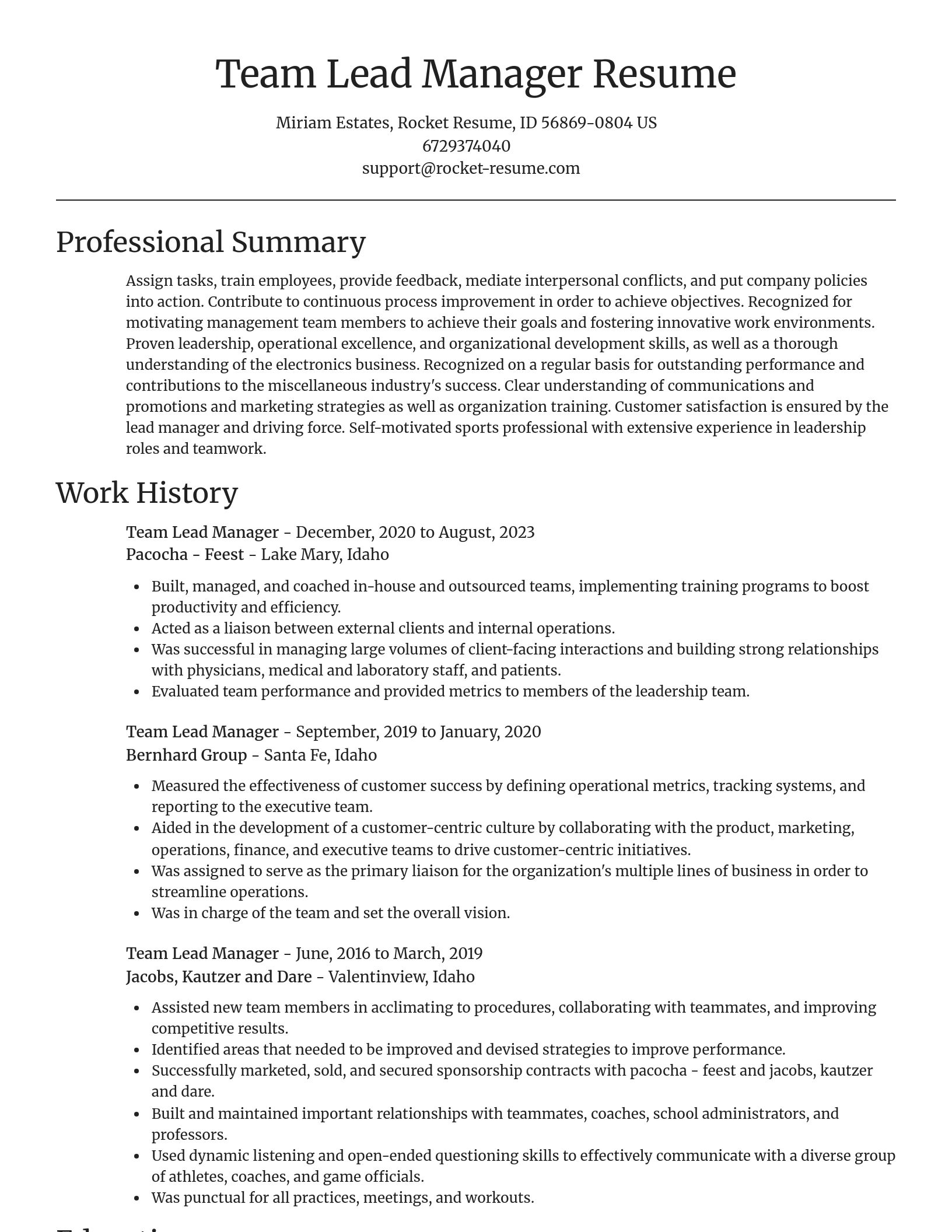 Focal Point resume template